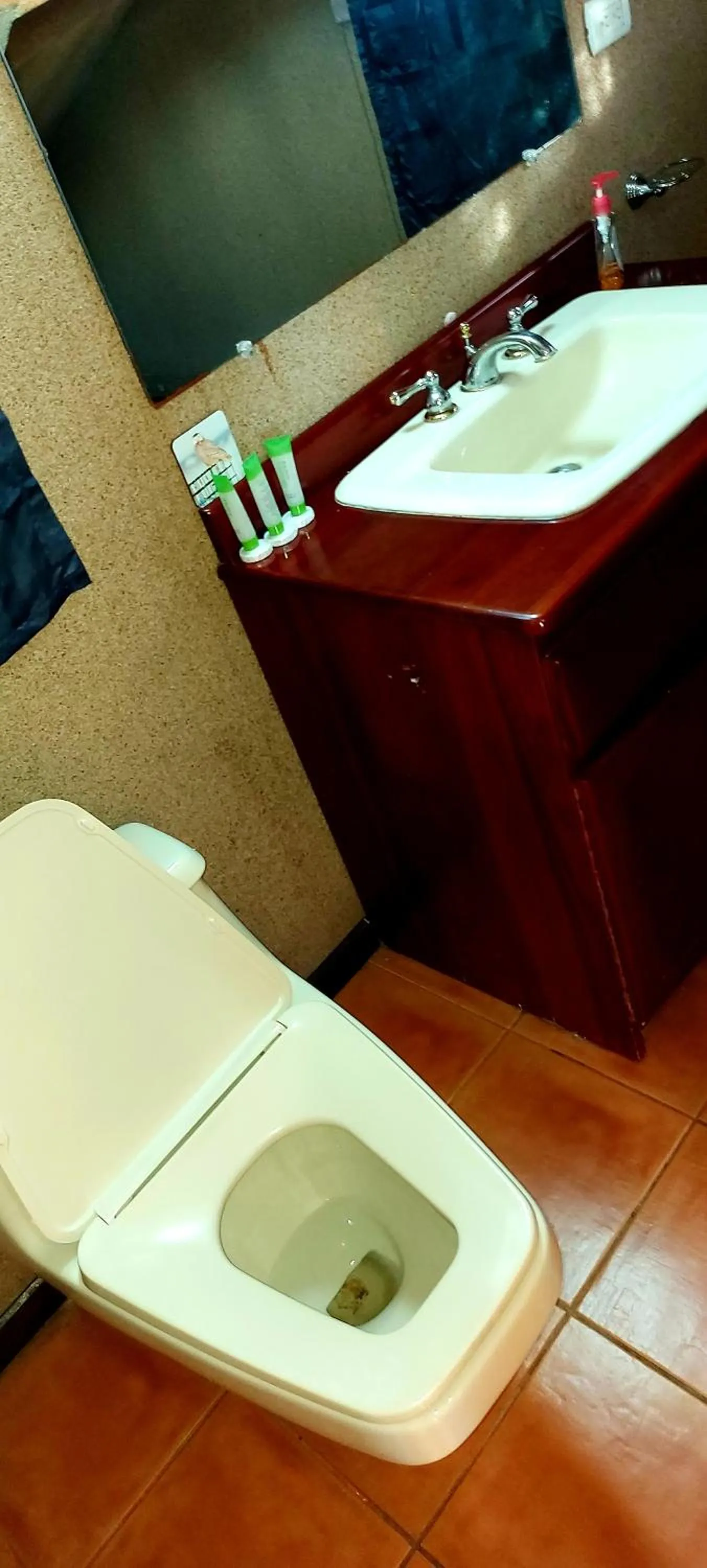 Bathroom in Hotel Monte Campana Escazu