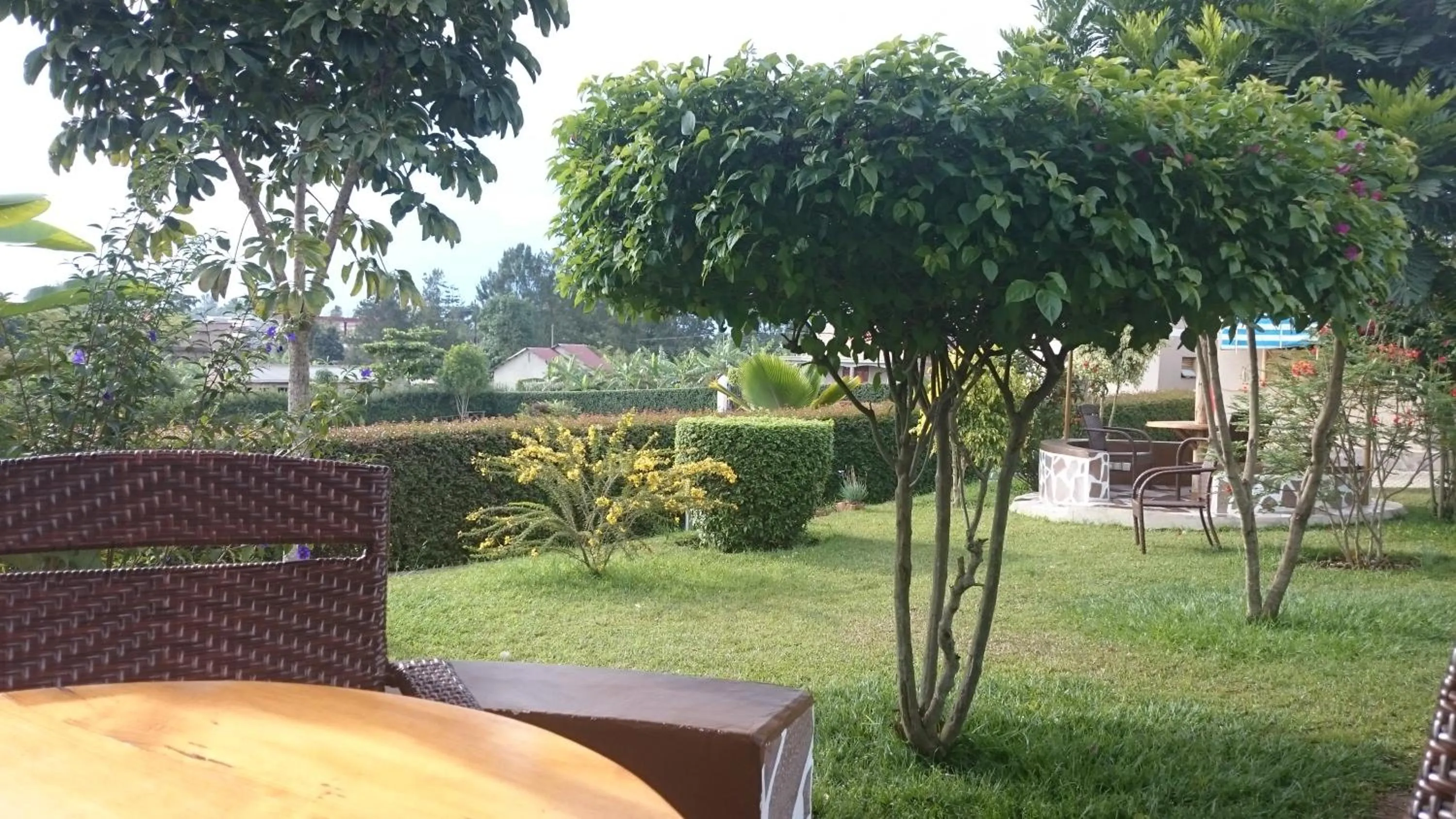 Natural landscape in Asamar Country Resort