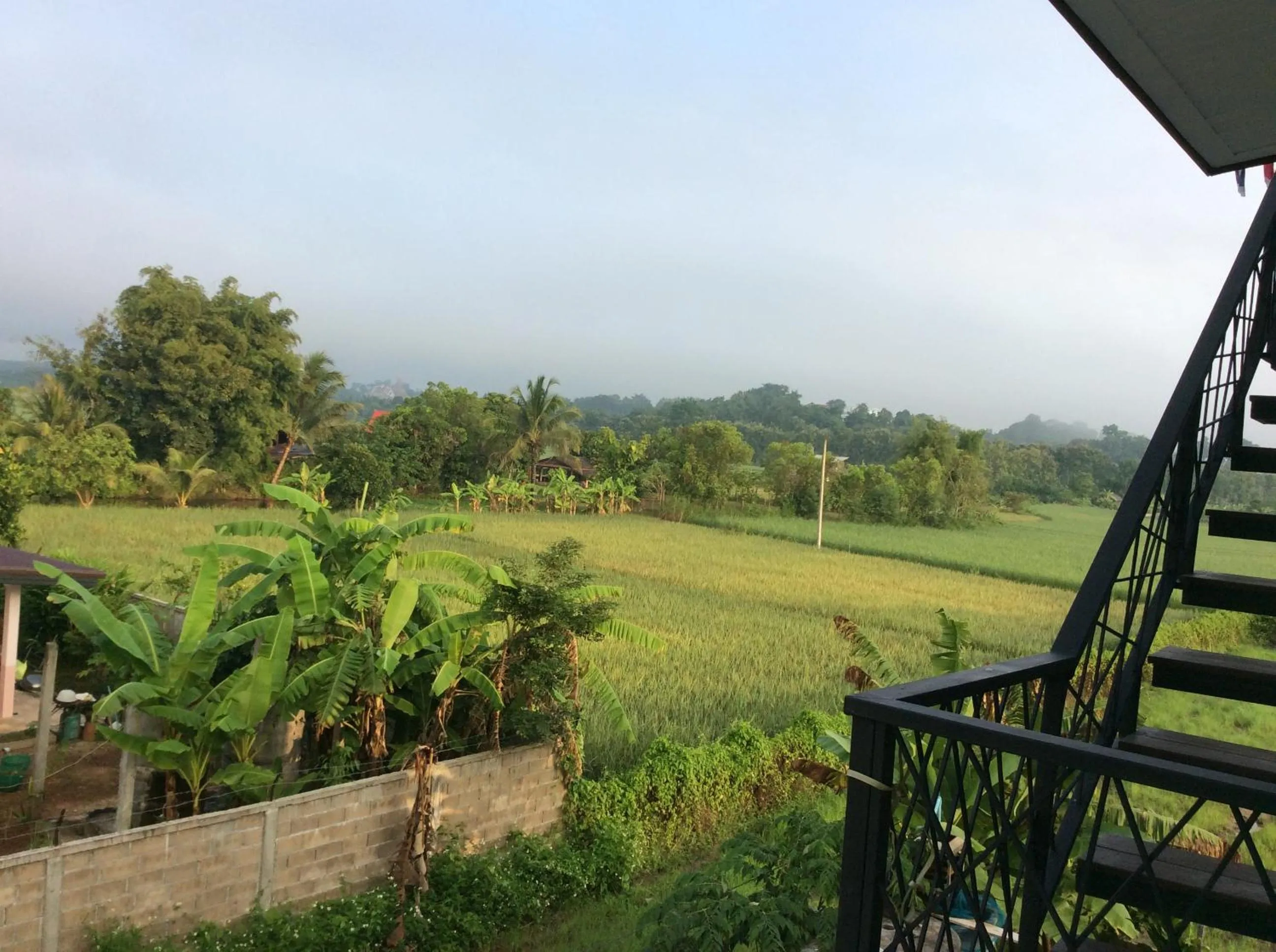 Natural landscape in Na Na Doo Homestay