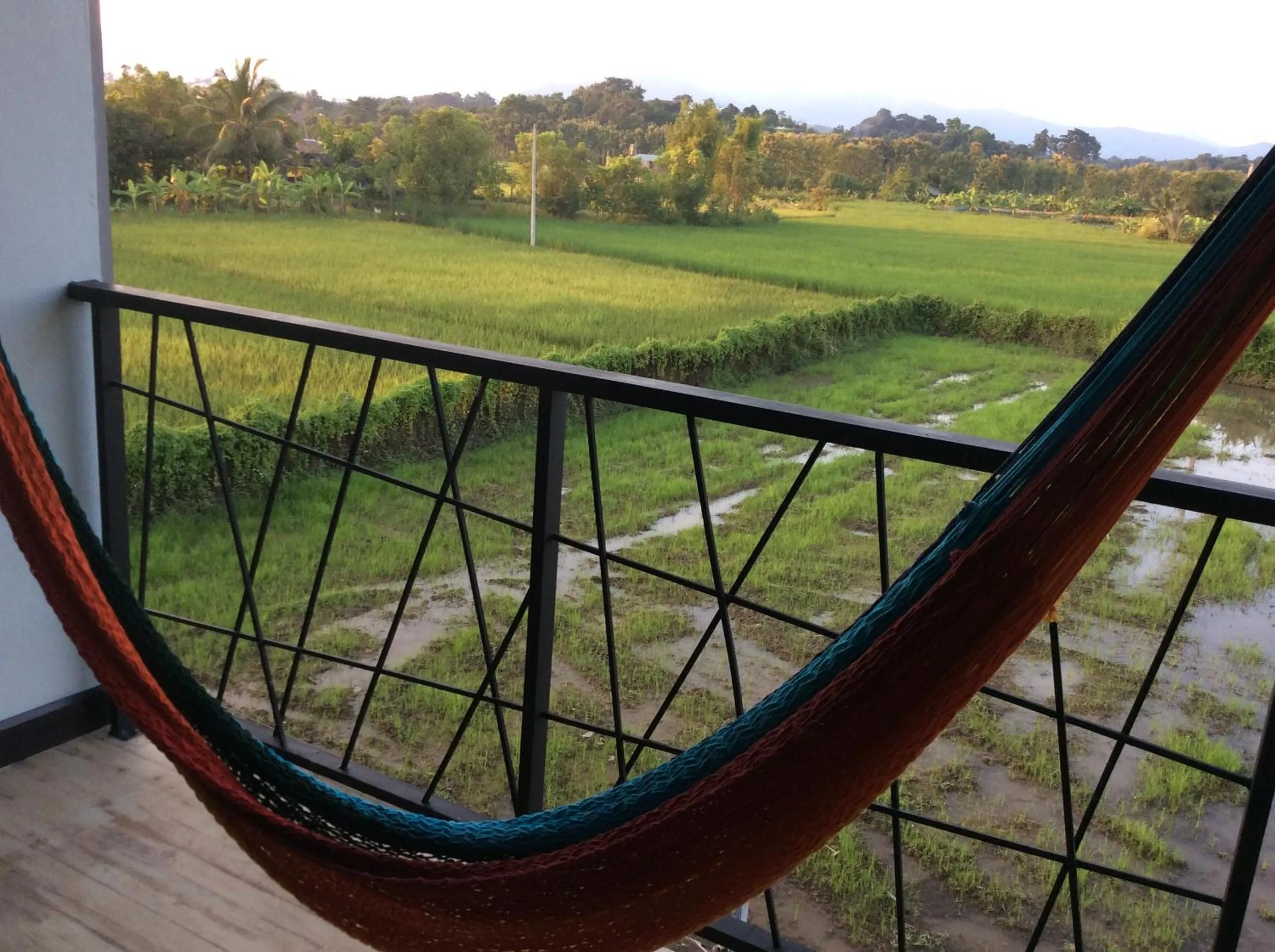 View (from property/room) in Na Na Doo Homestay