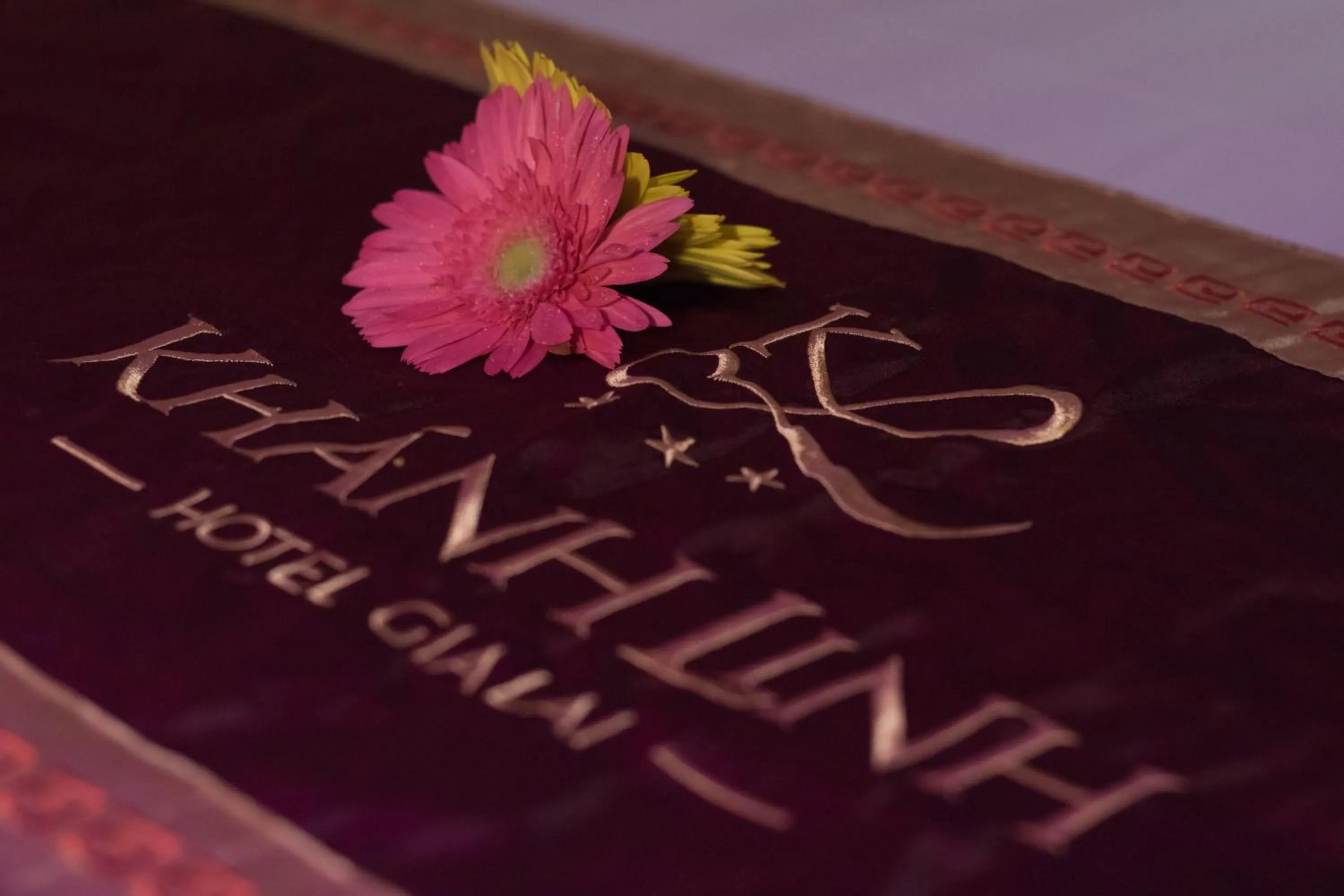 Sauna in Khanh Linh Hotel