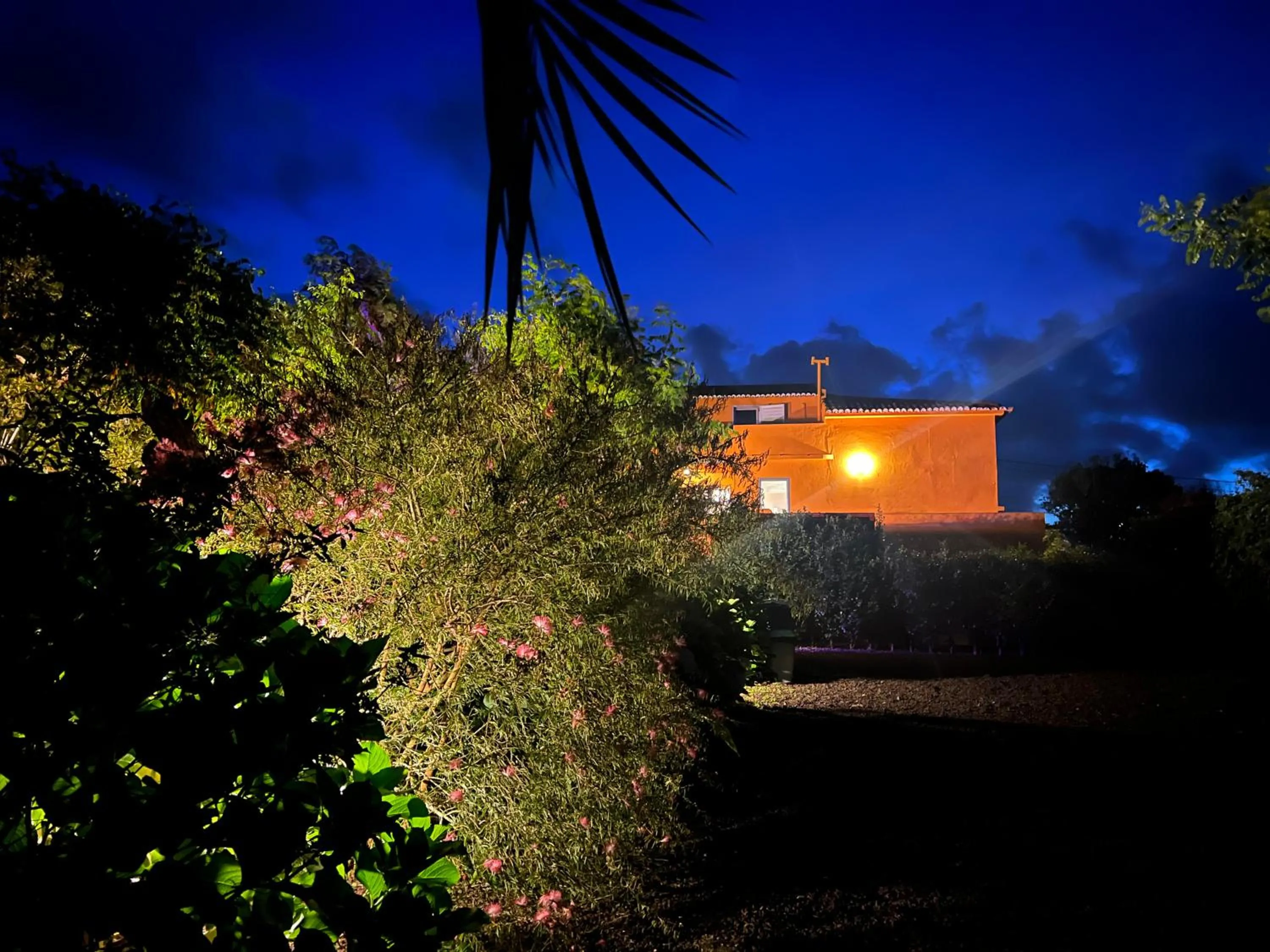 A Casa Amarela