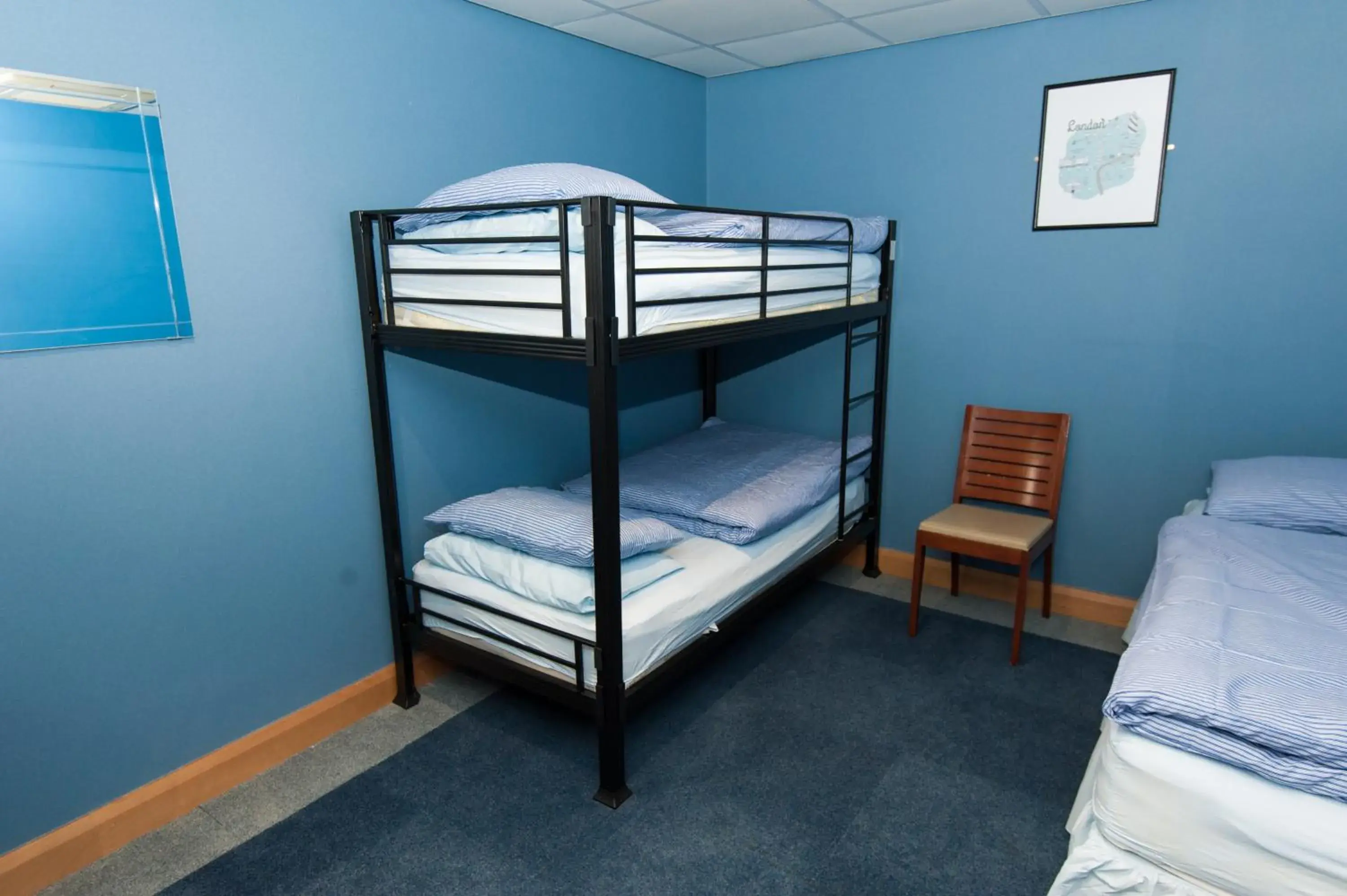 Bunk Bed in Male Dormitory Room in Russell Scott Backpackers Hostel Bunk Bed in Male Dormitory Room in Russell Scott Backpackers Hostel