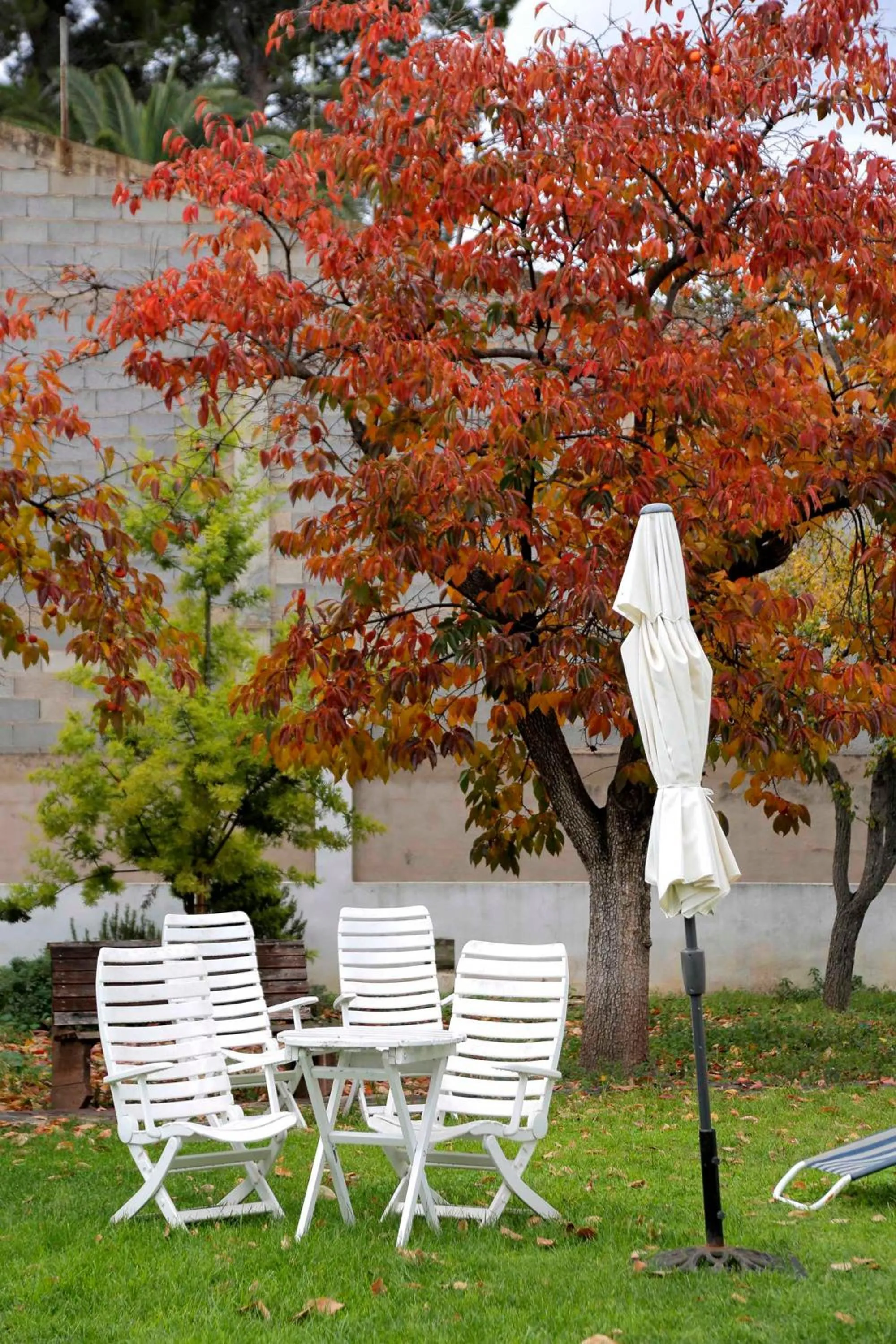 Garden in El Campillo, casa de campo cerca de la playa
