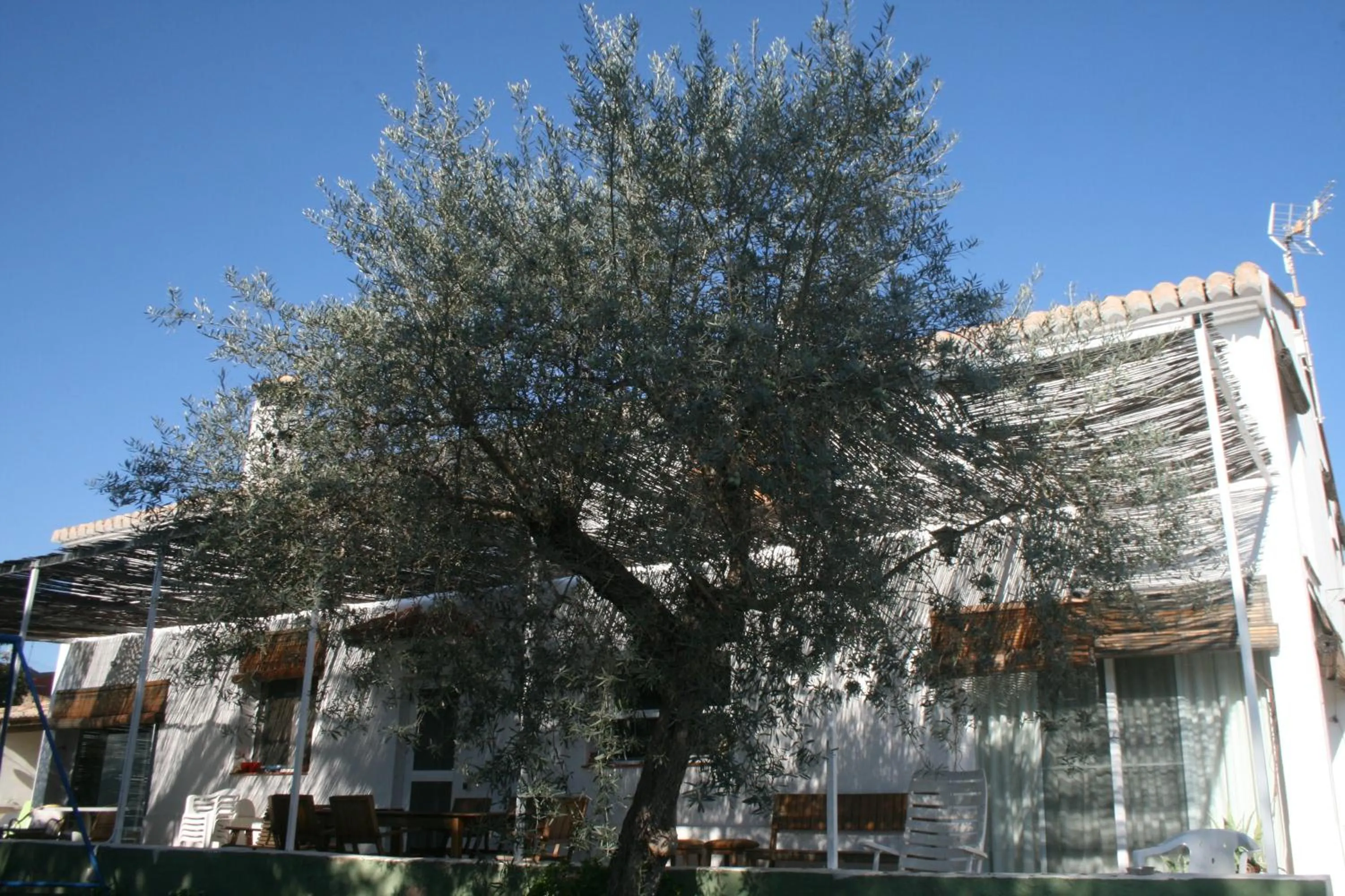 Facade/entrance in El Campillo, casa de campo cerca de la playa