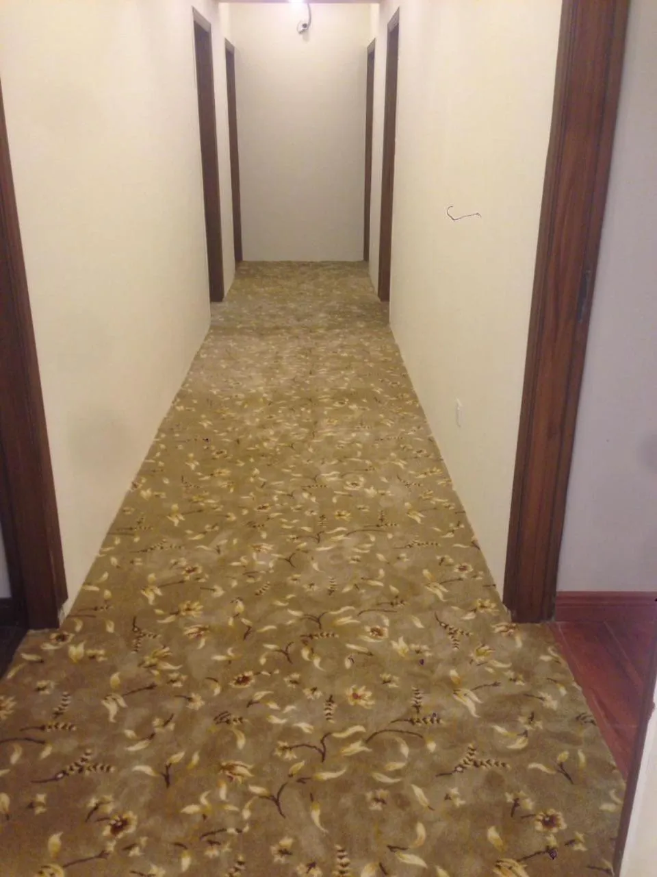 Other in Diplomat Hotel