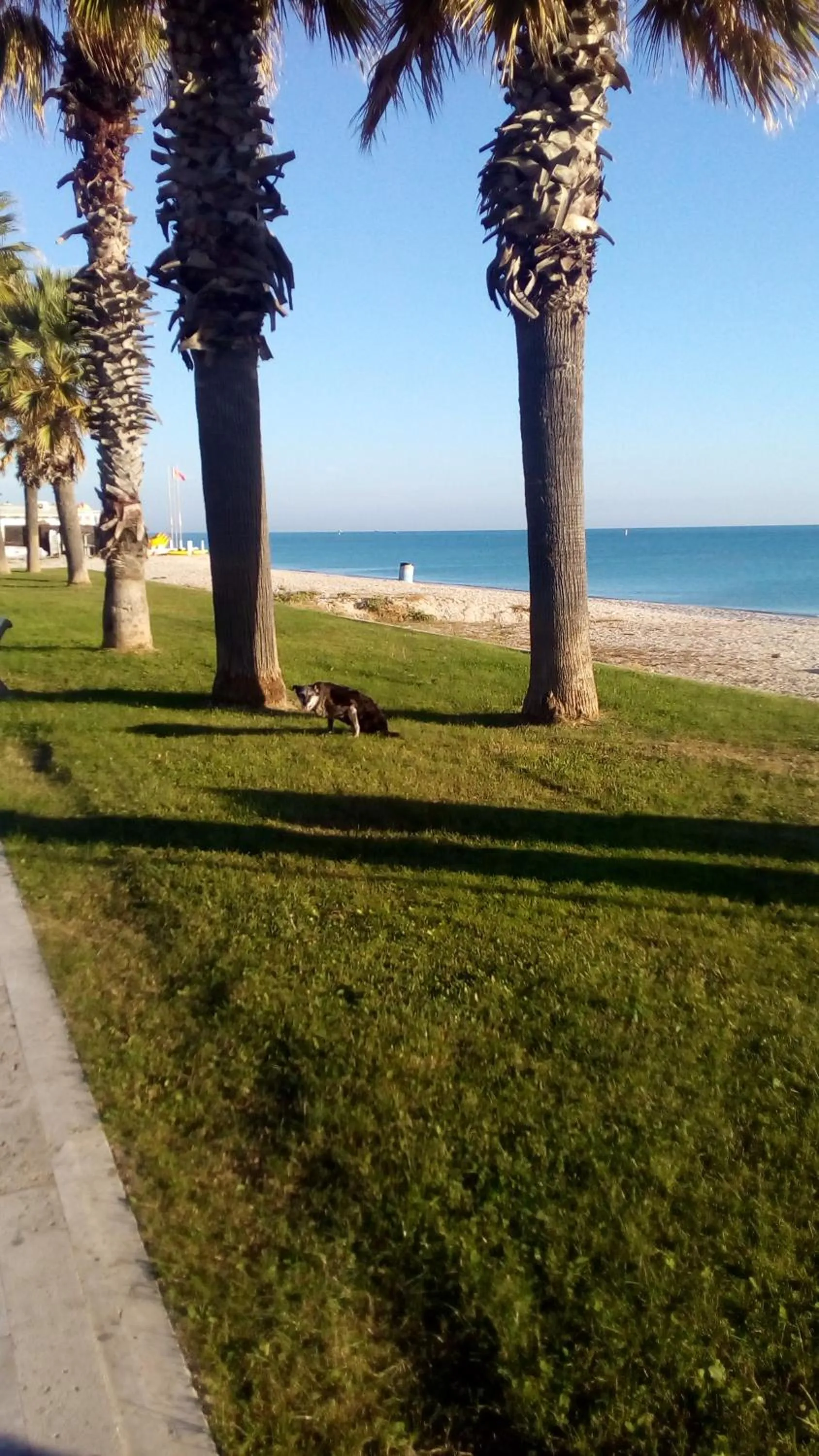 Sea view in Casa Dilva