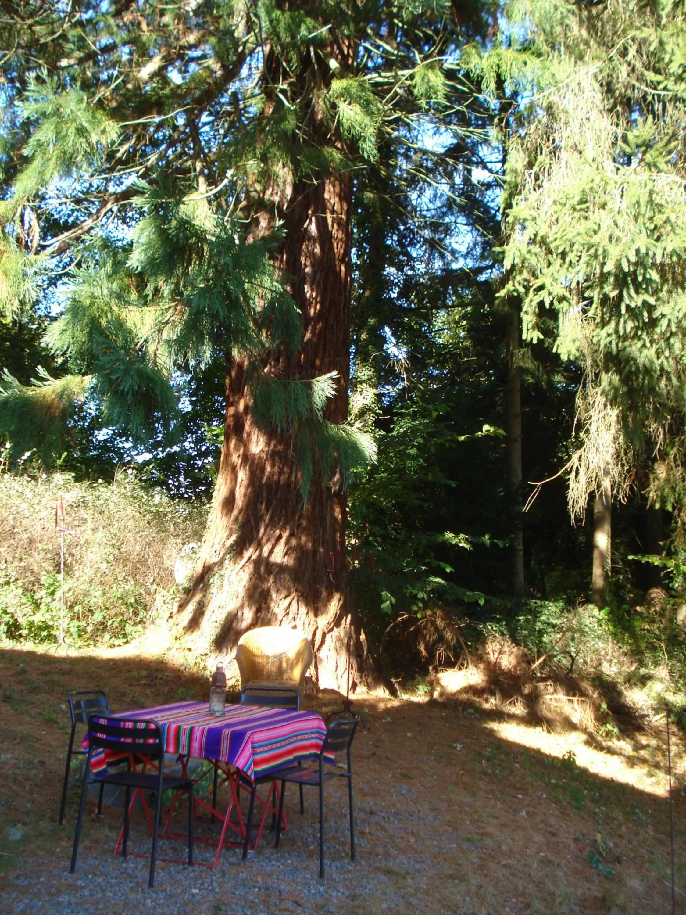 Garden view in La lune en bulles