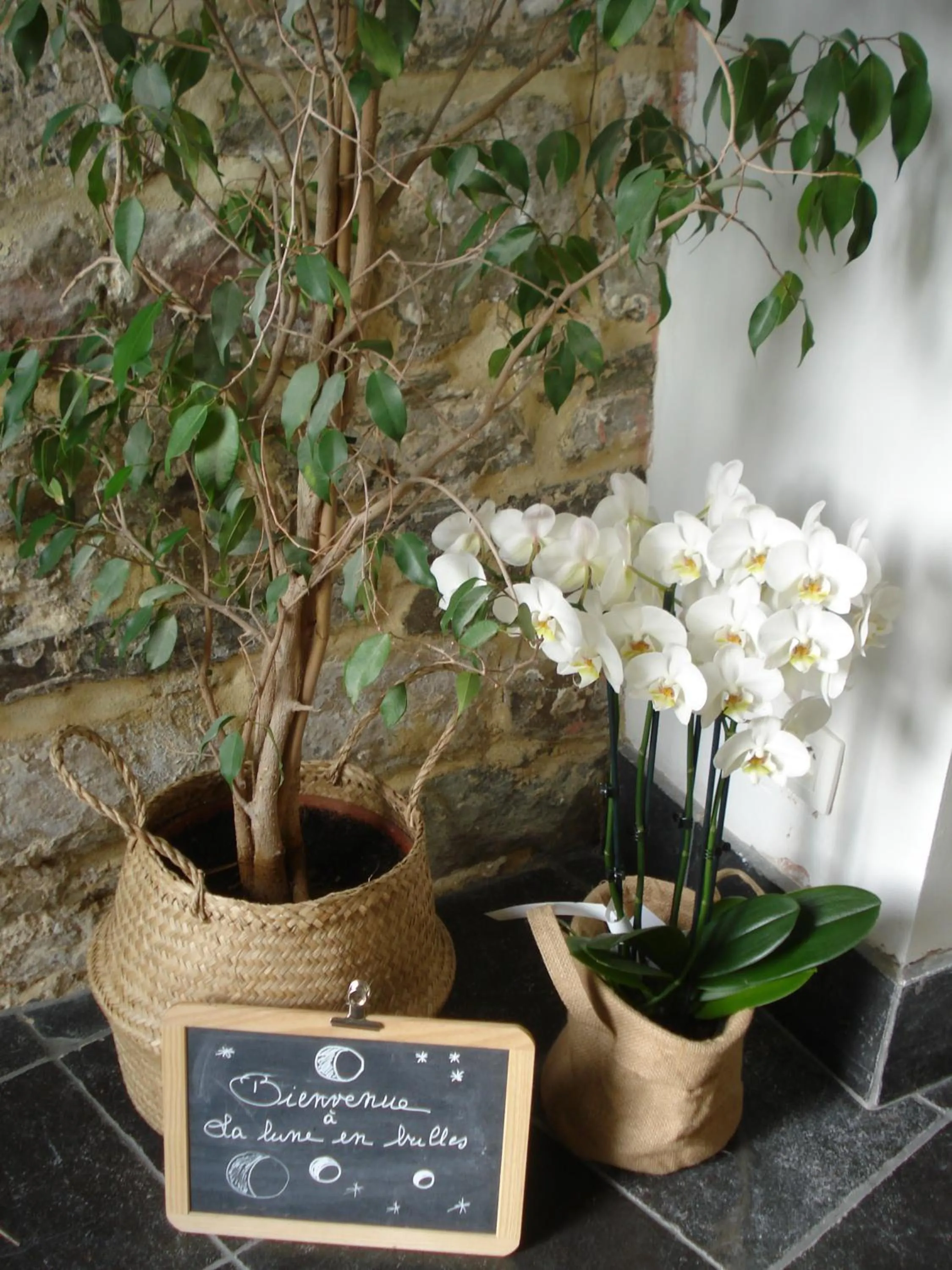 Decorative detail in La lune en bulles