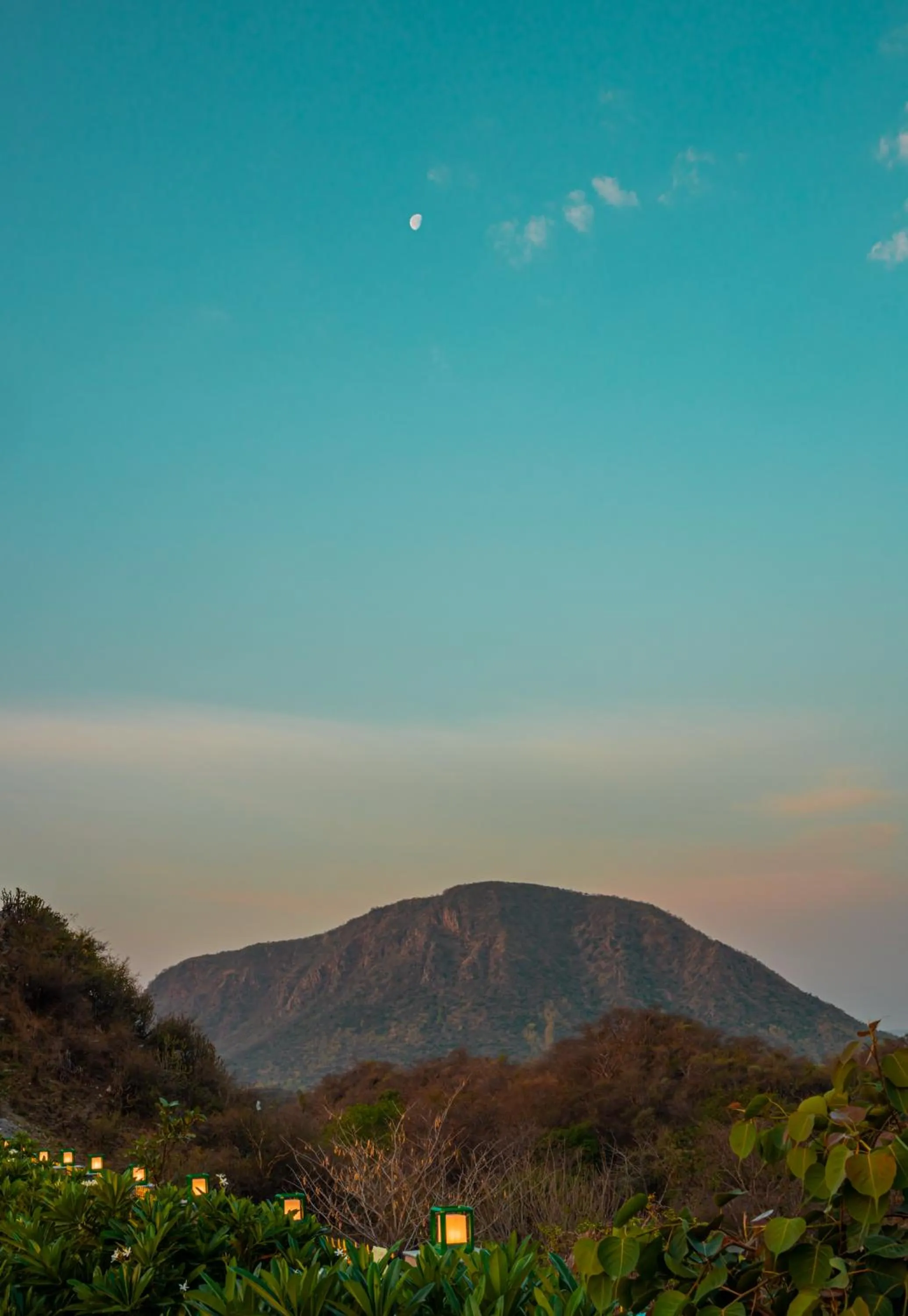 Natural landscape in Tree of Life Vantara Resort & Spa
