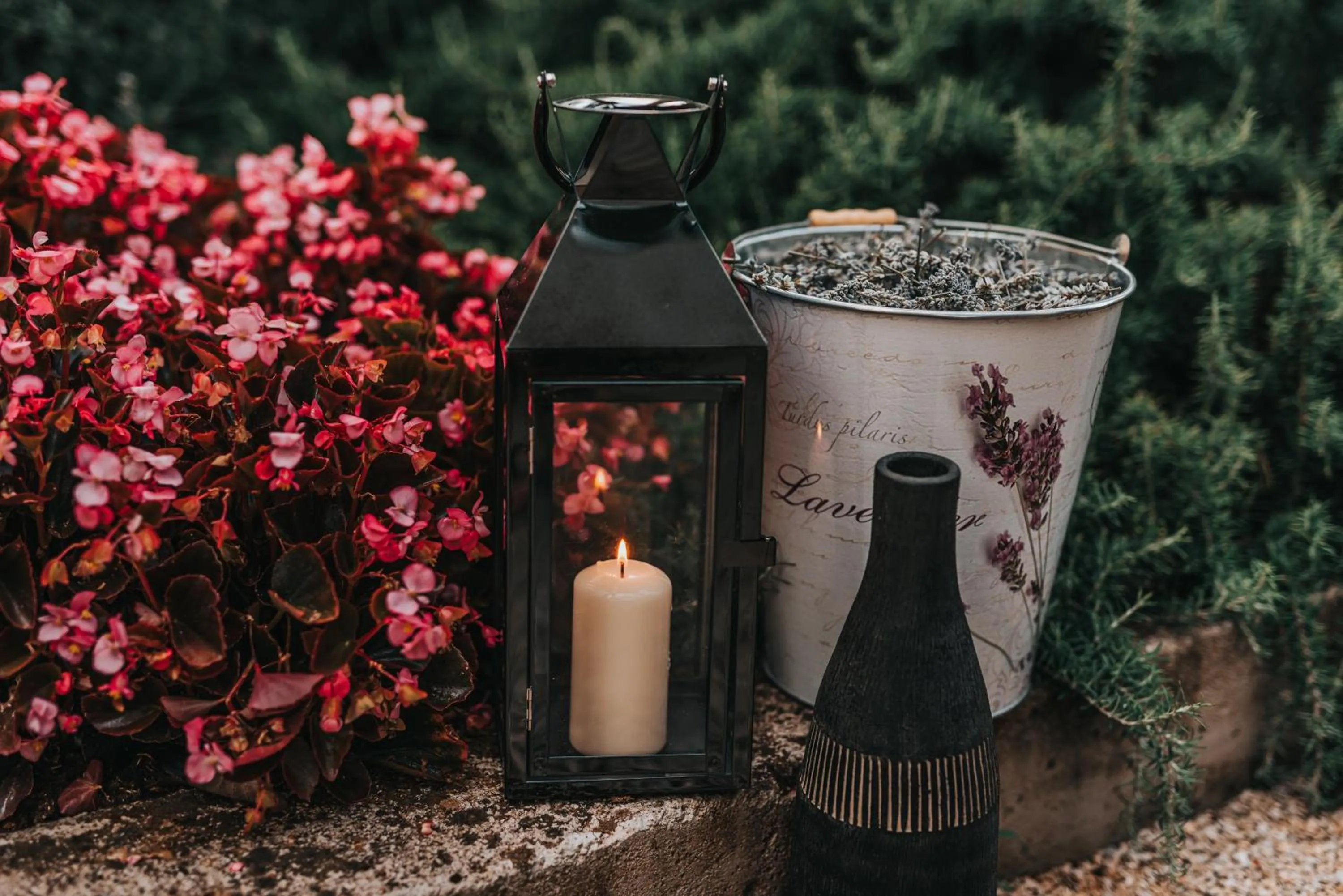 Garden in Hotel Villa Eugenia