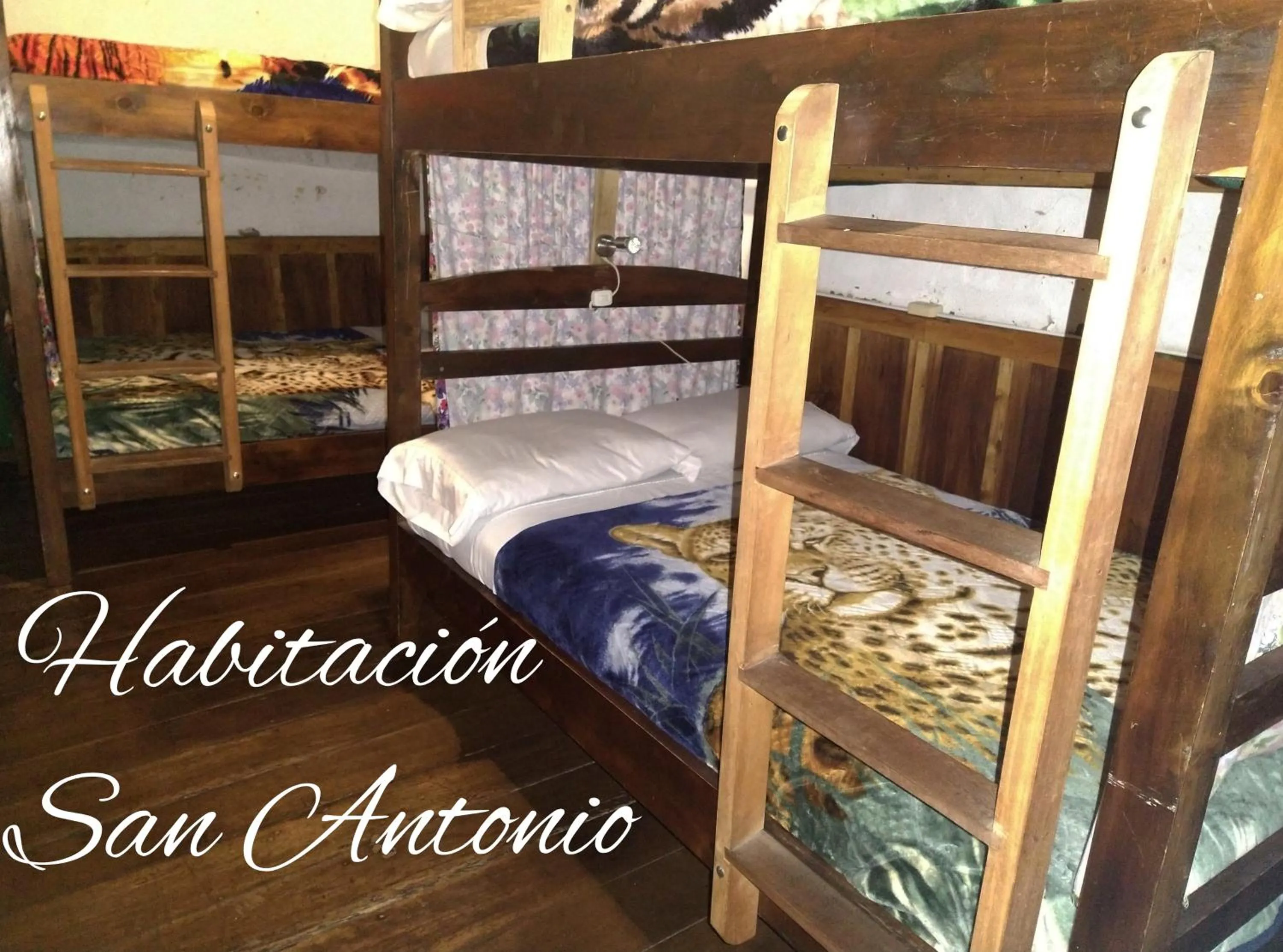 Twin Room with Shared Bathroom in Hostal La Casa De Lili