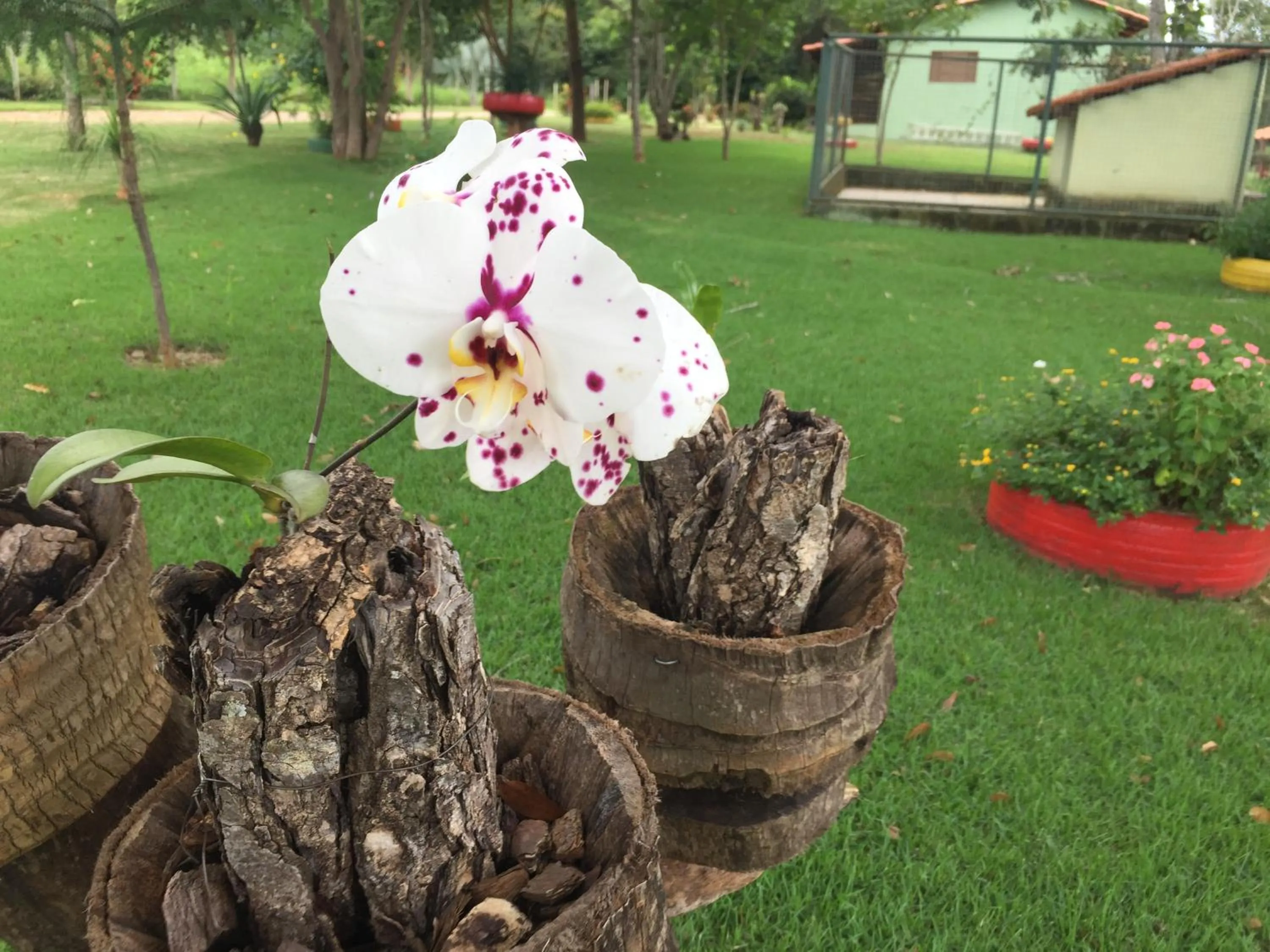 Garden view in Estancia Maria