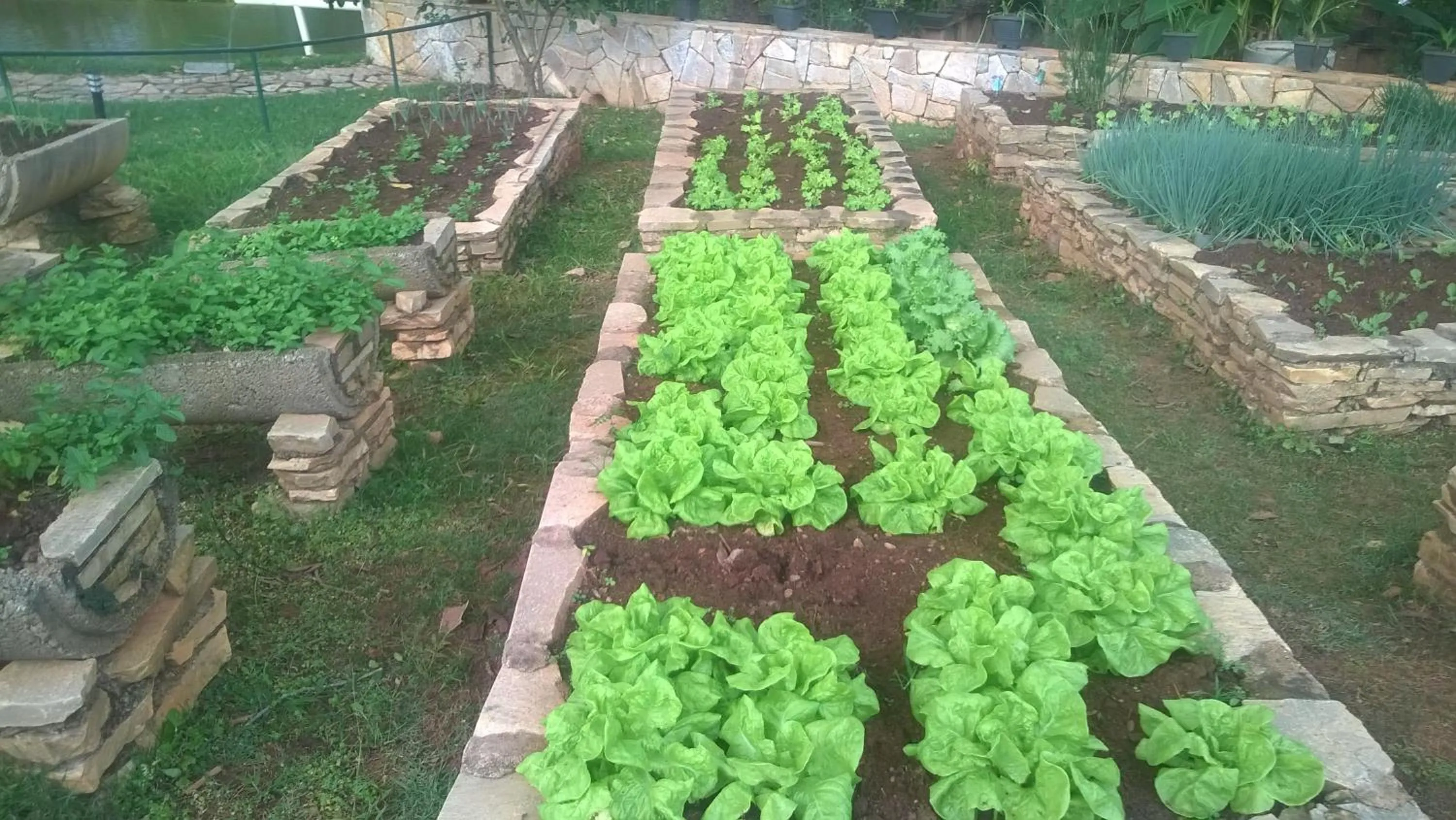 Garden in Estancia Maria