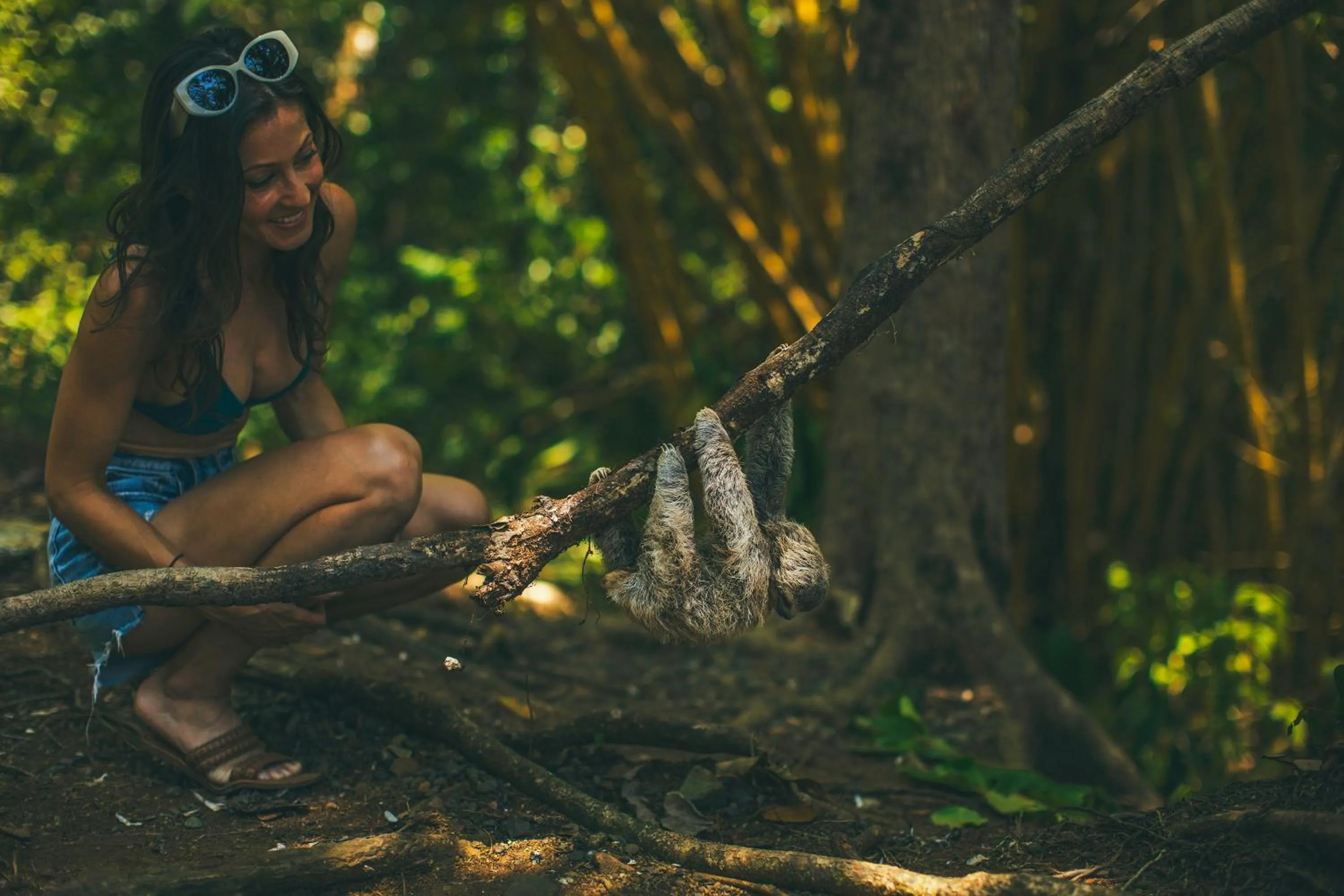 Natural landscape in Jungle Vista Boutique Hotel