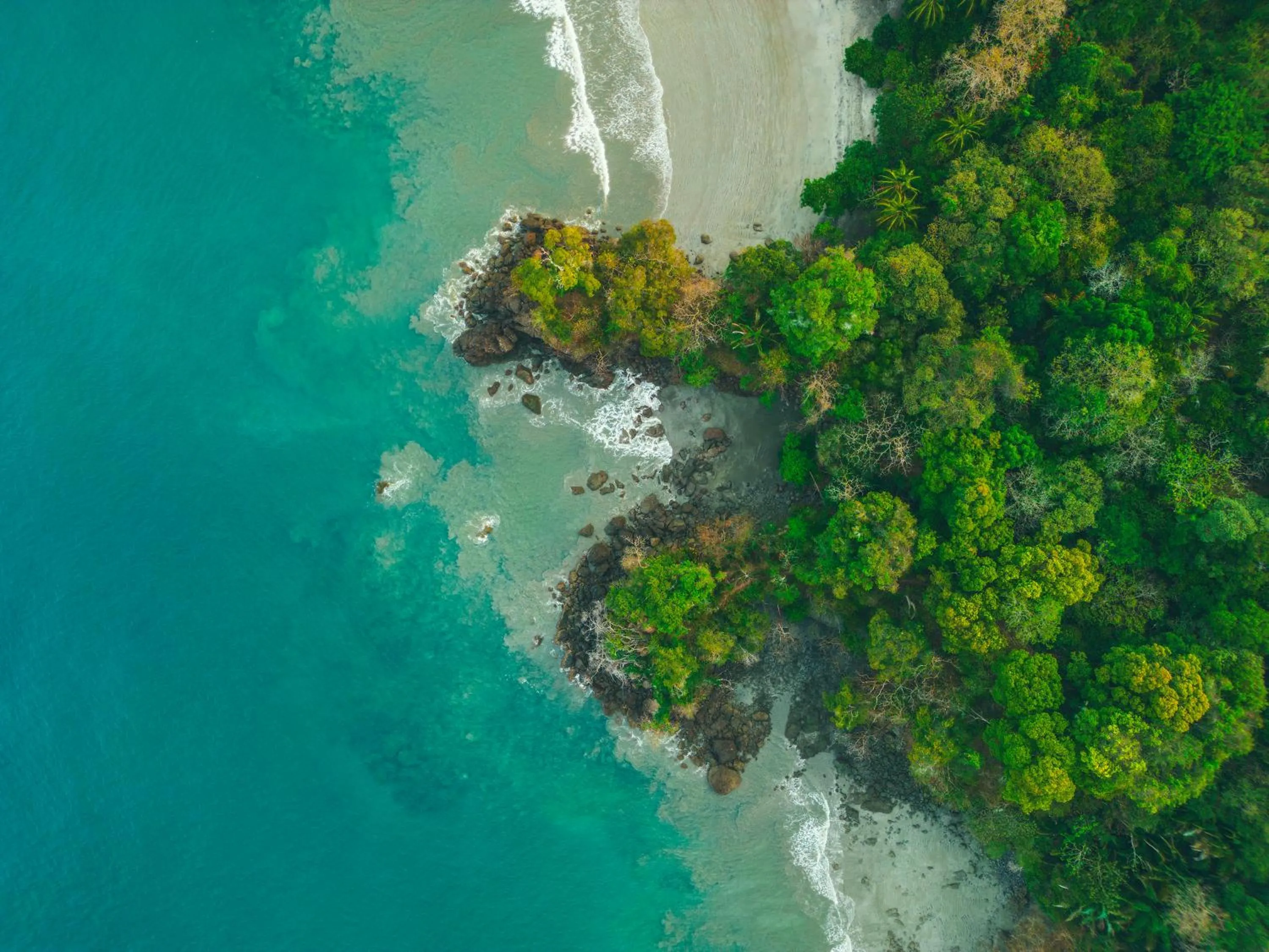 Bird's eye view in Jungle Vista Boutique Hotel