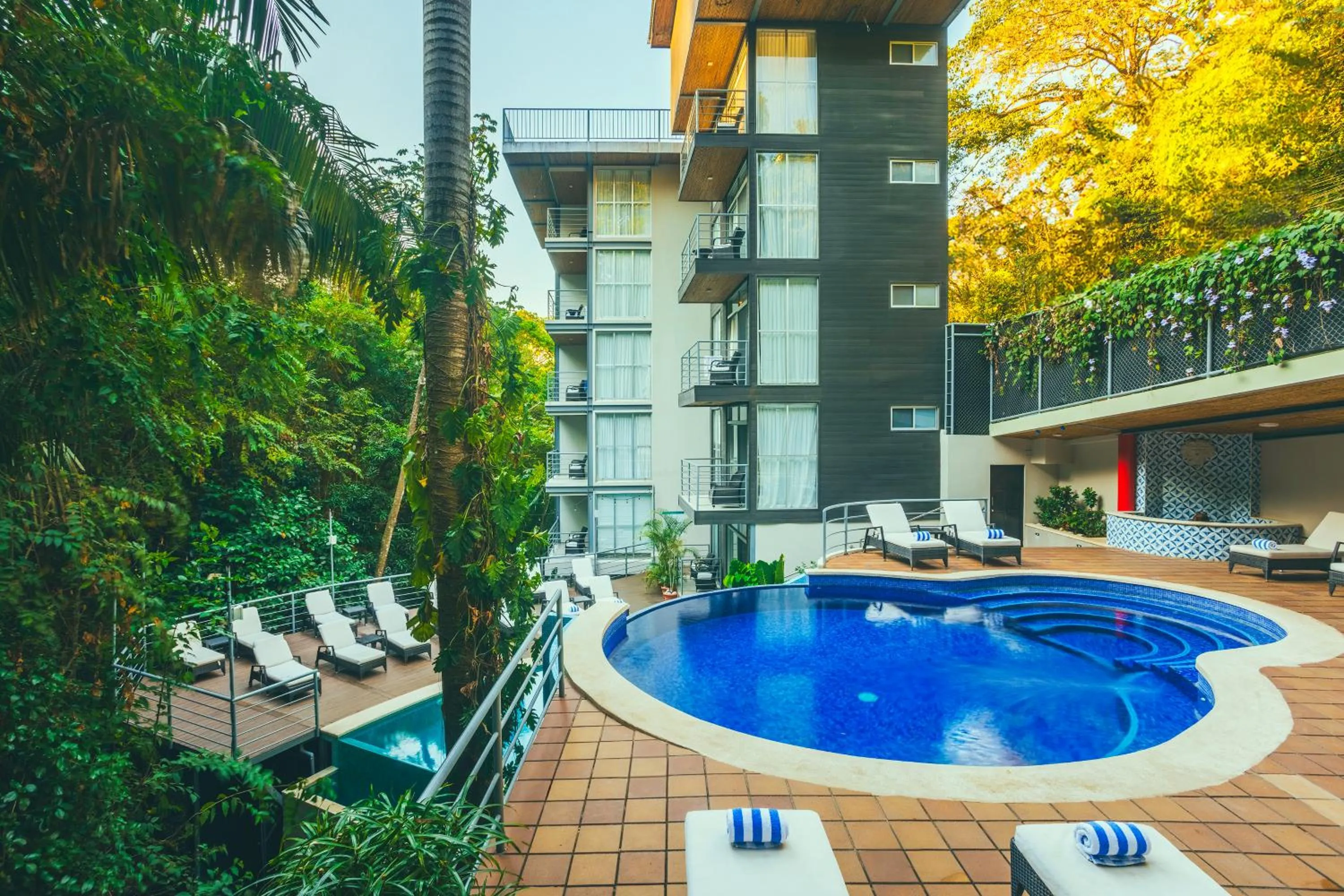 Jungle Vista Boutique Hotel