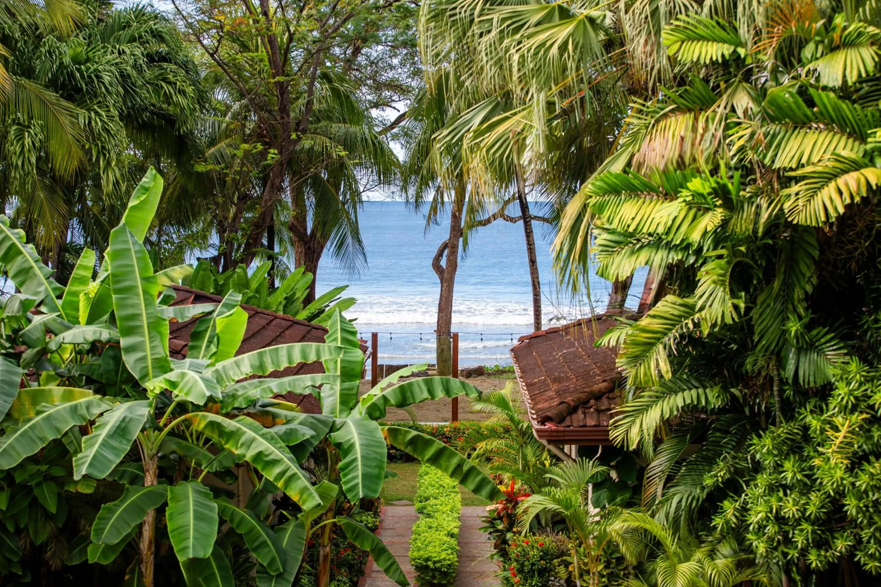 Garden in The Coast Beachfront Hotel