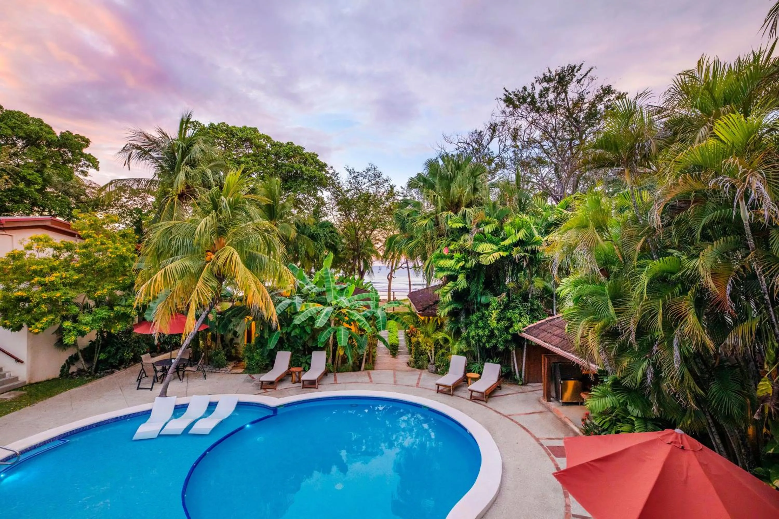 Garden in The Coast Beachfront Hotel