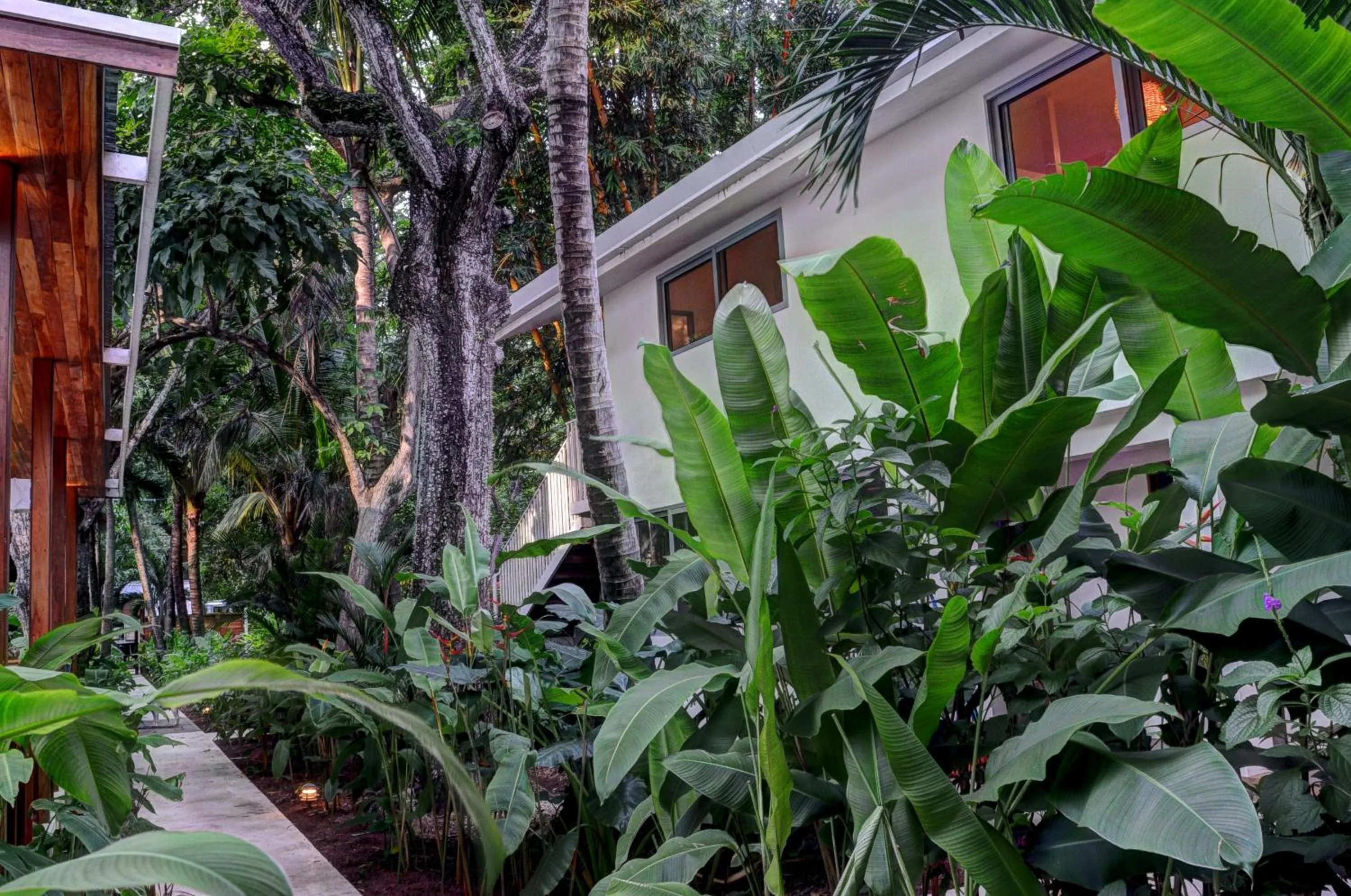 Natural landscape in Moana Surf Resort