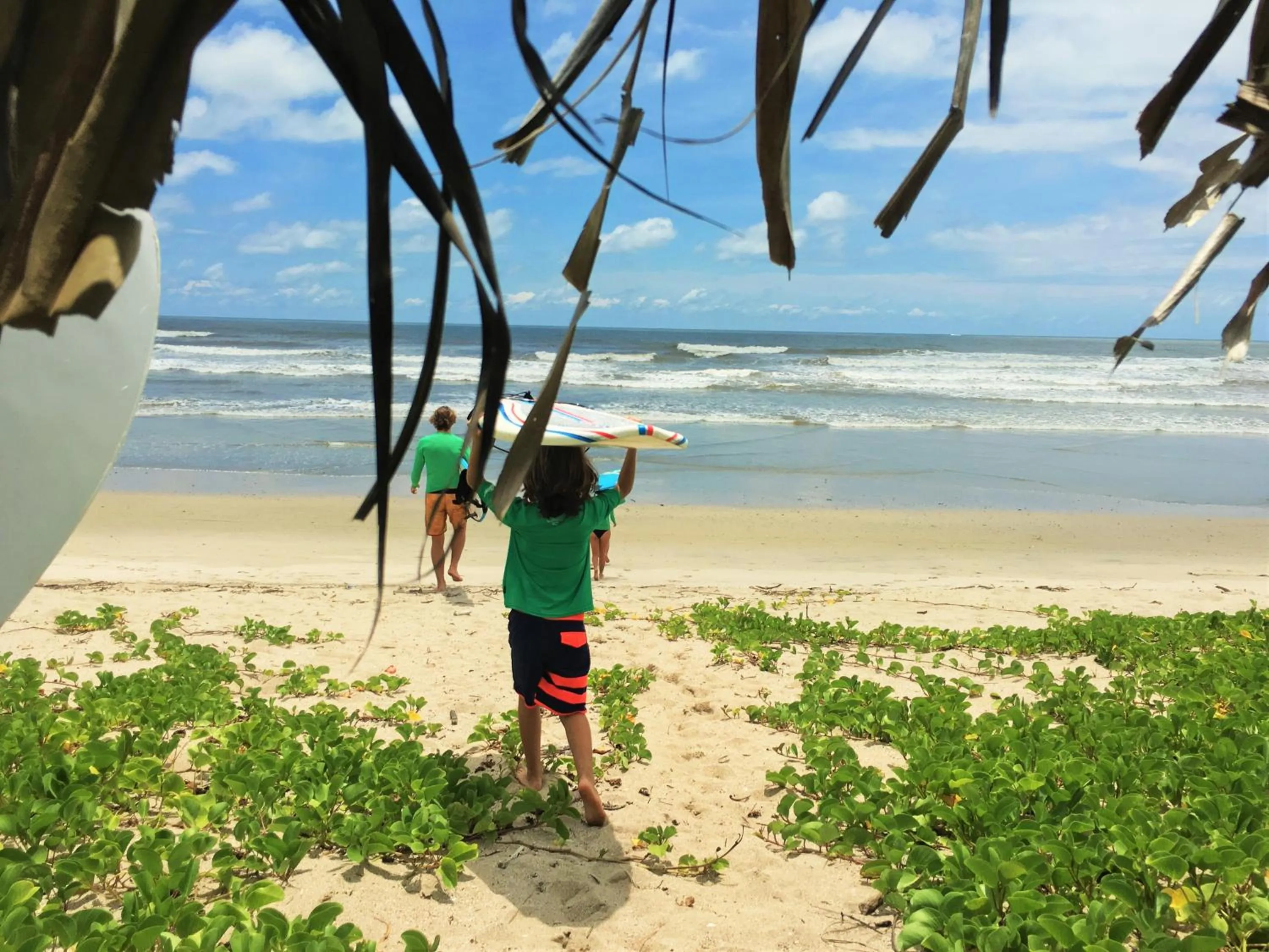 Beach in Moana Surf Resort