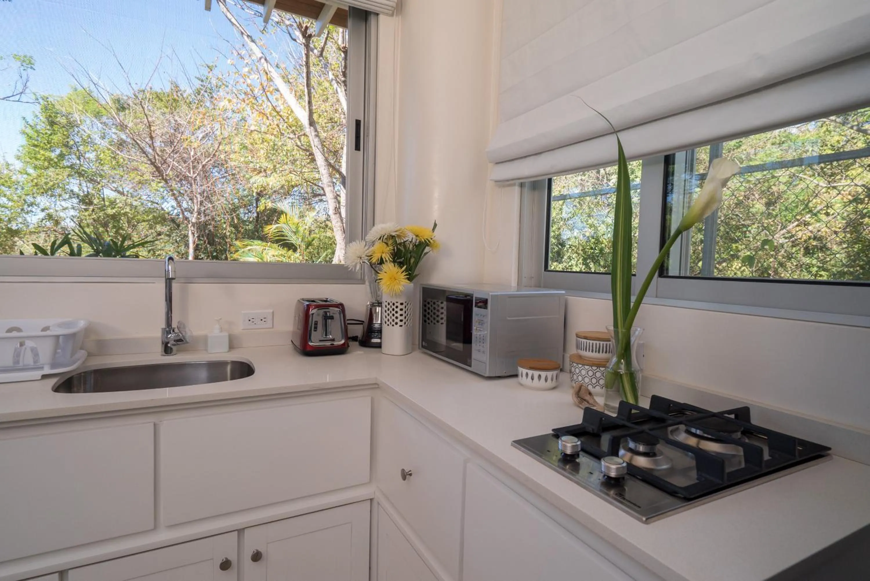 Kitchen or kitchenette in Moana Surf Resort