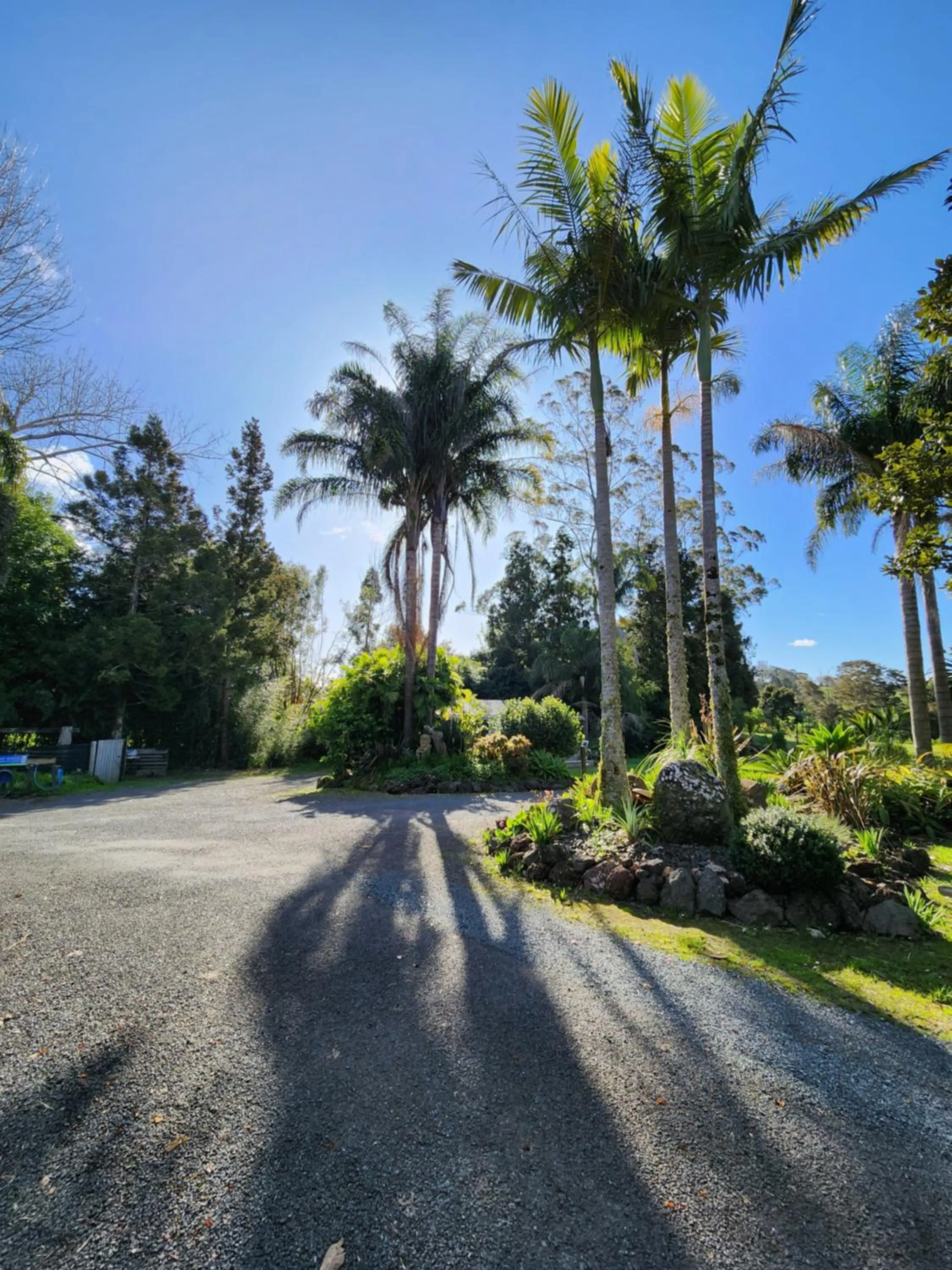 Day in Bay of Islands Holiday Park