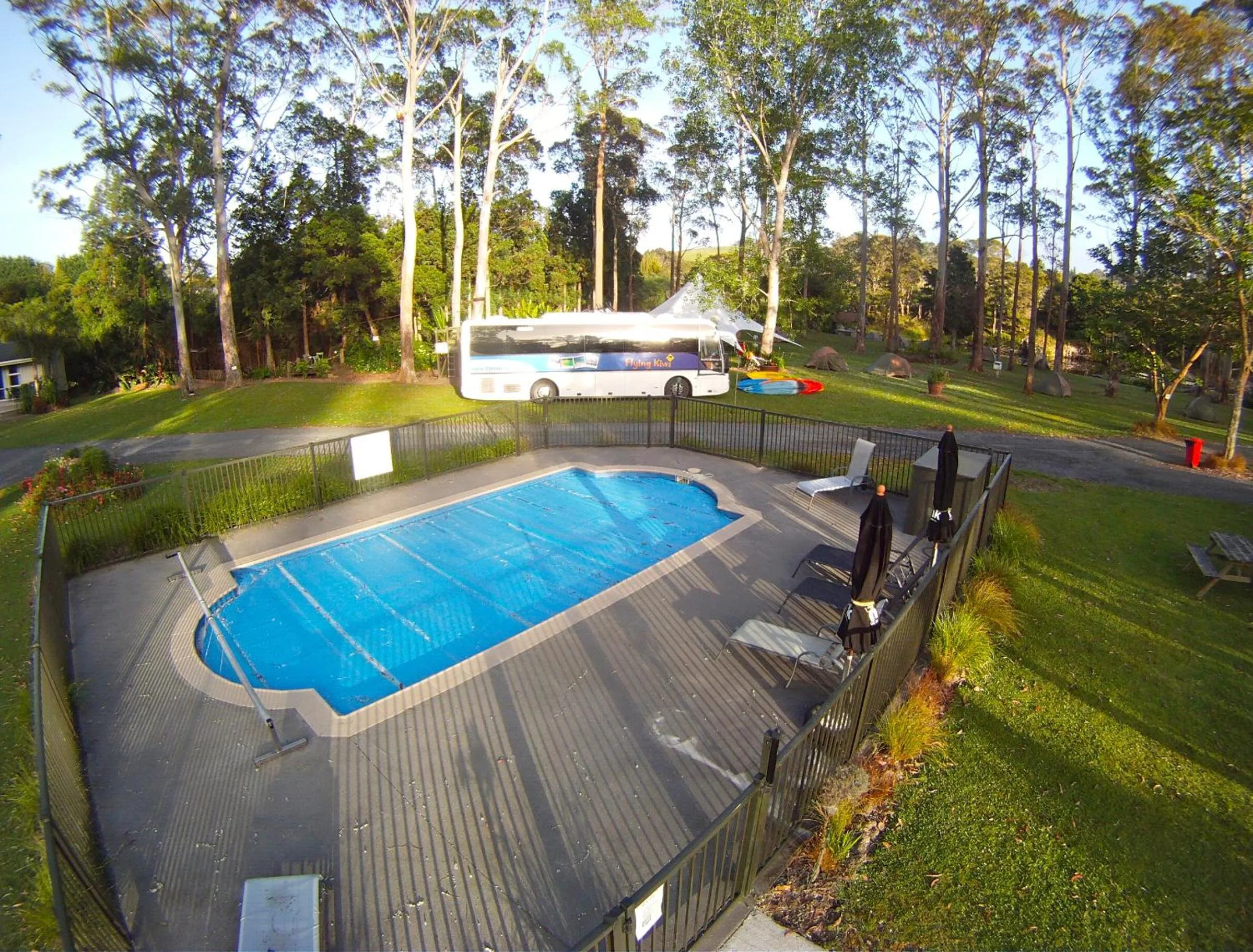 Swimming pool in Bay of Islands Holiday Park