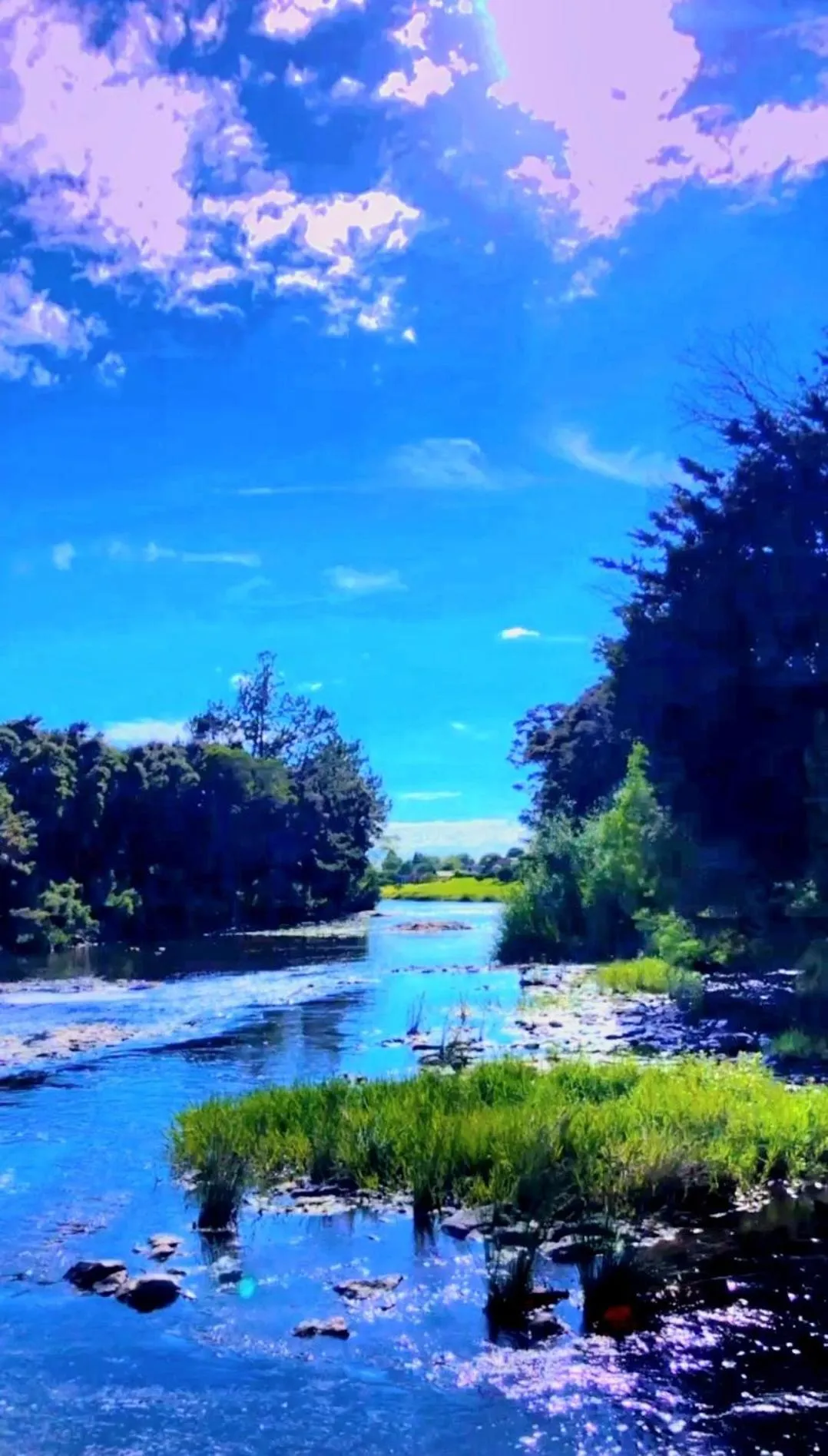 Day in Bay of Islands Holiday Park