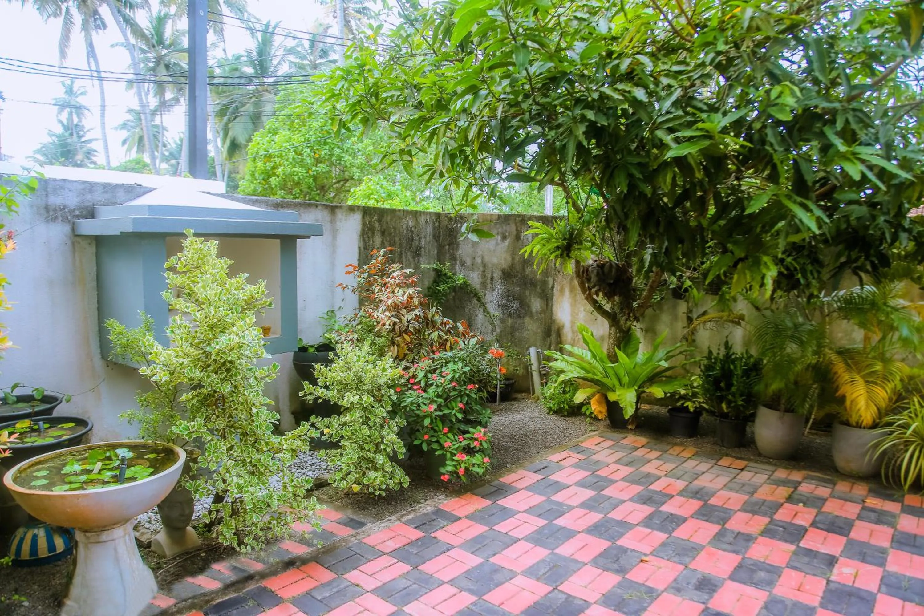 Garden in Brave resort Mirissa