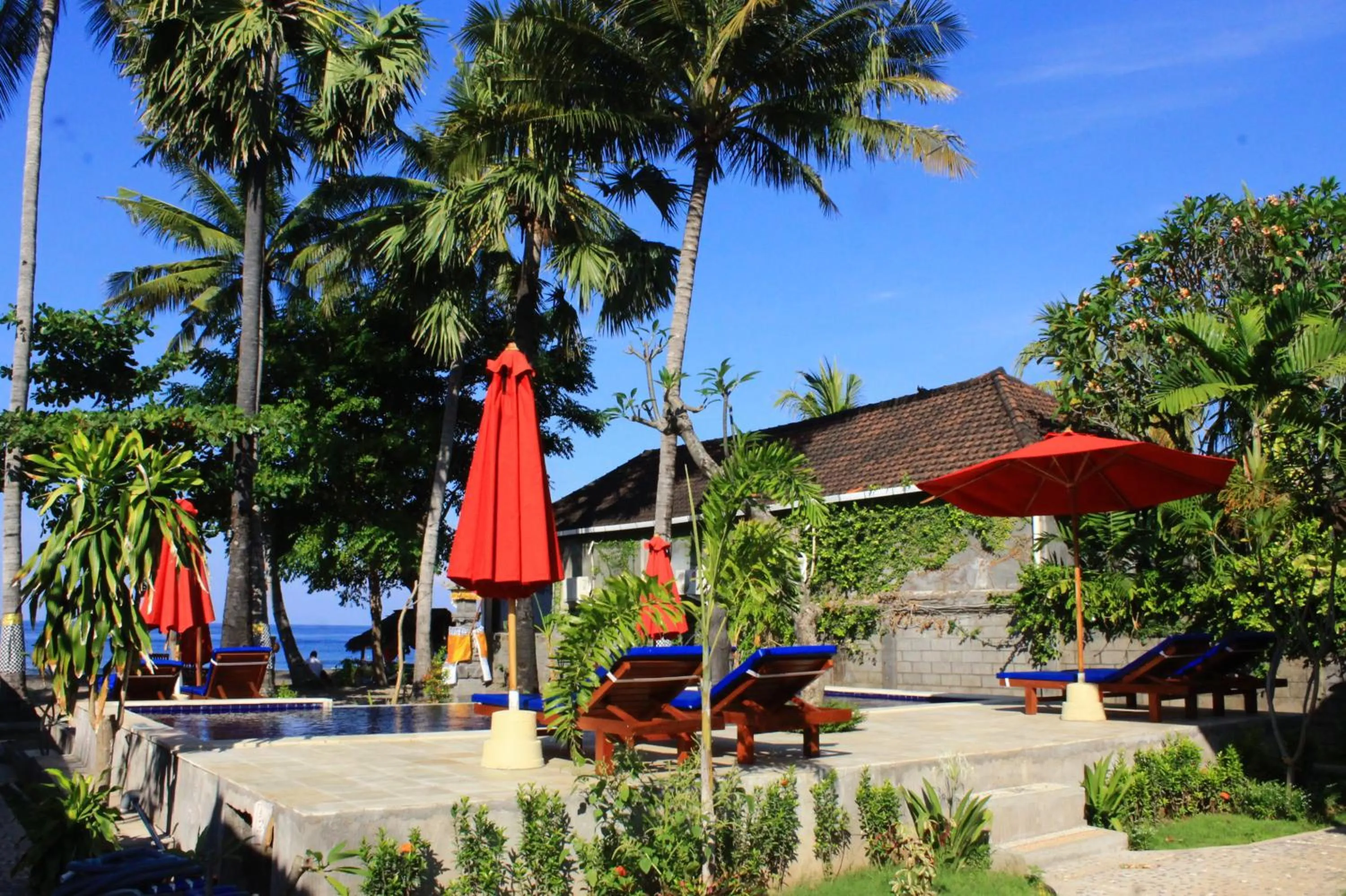 Garden in Bintang Beach Villa