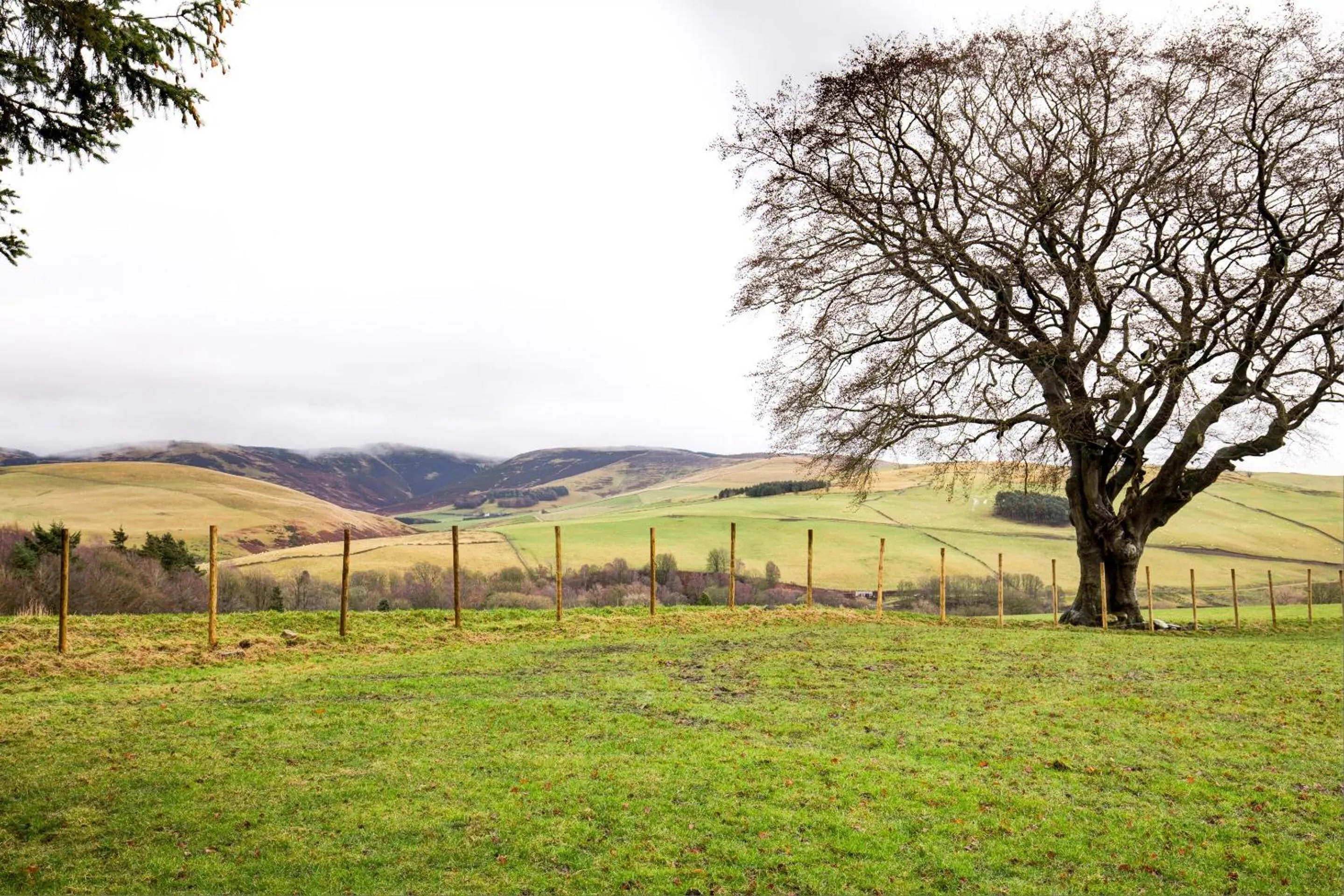 Natural landscape in Barony Castle Hotel