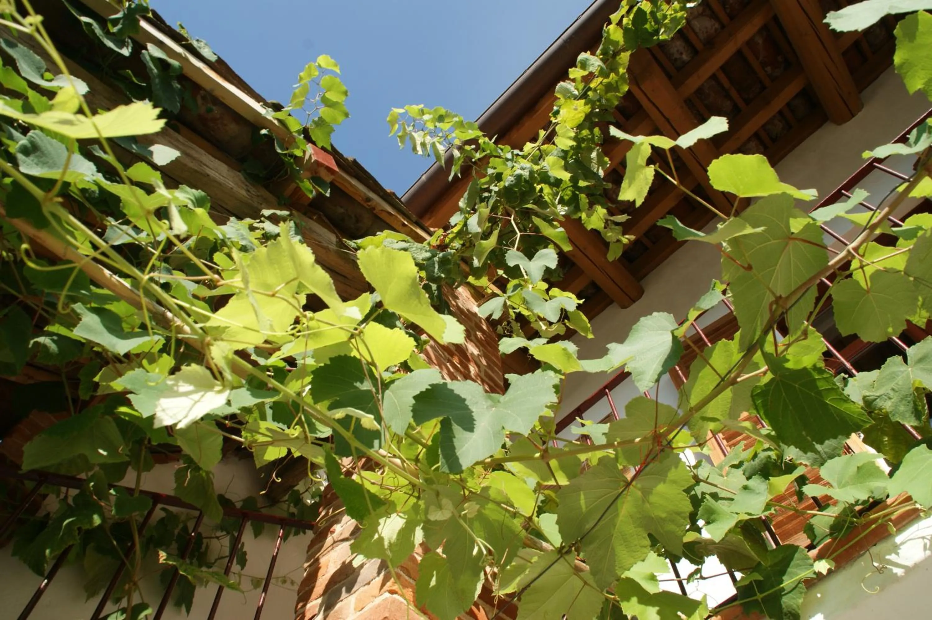 Garden in Villa Maddalena