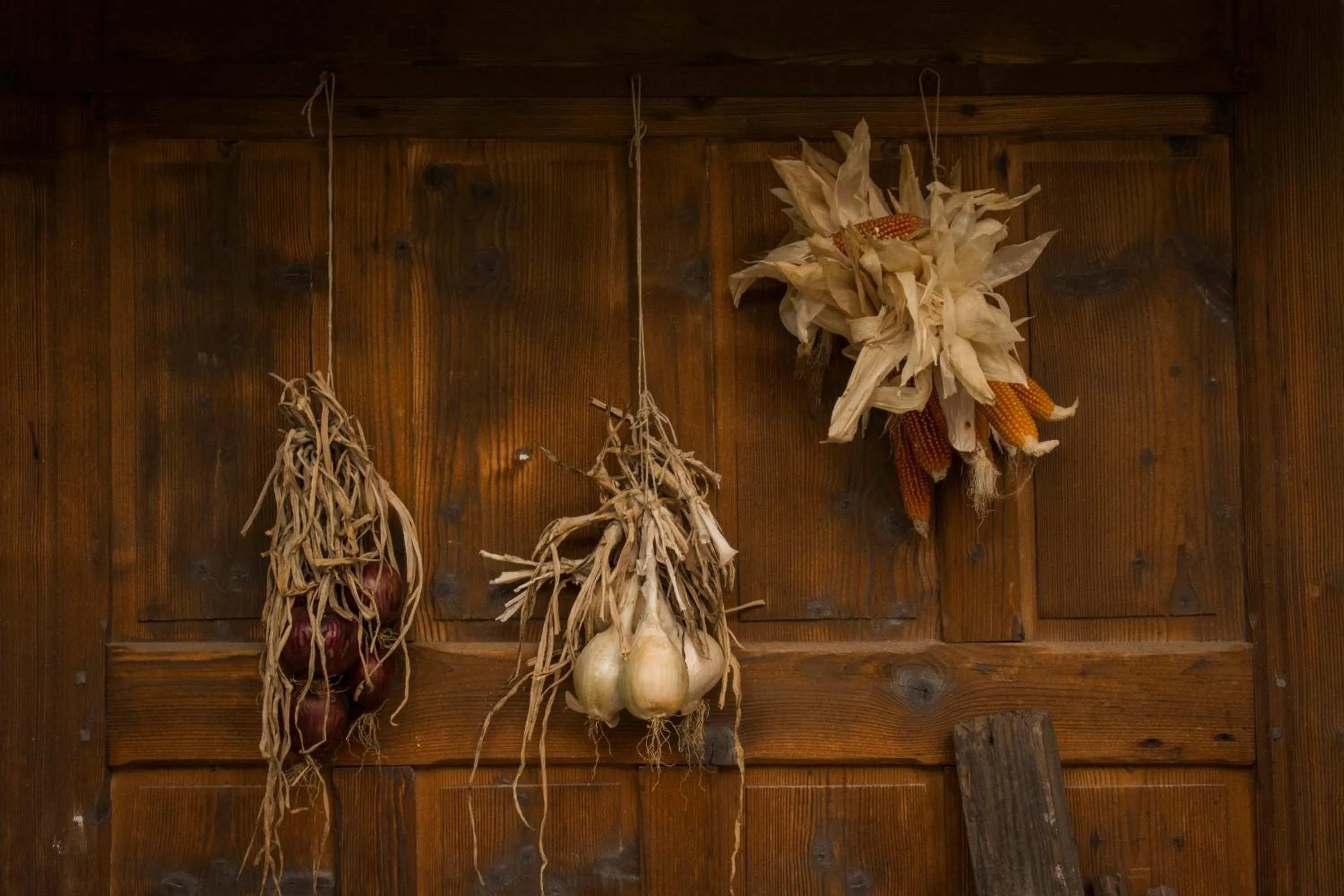 Activities in Villa Maddalena