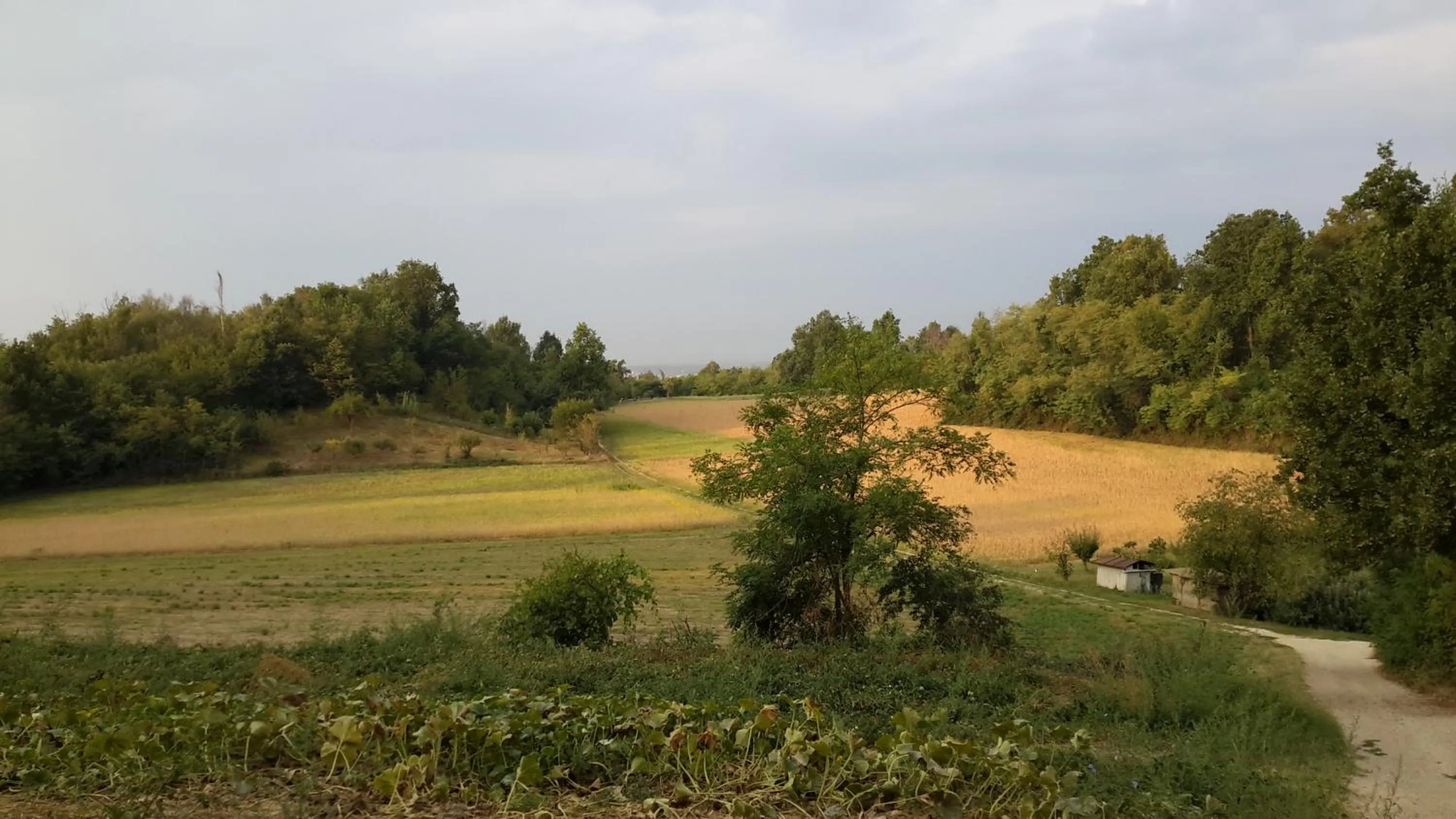 Natural landscape in Villa Maddalena