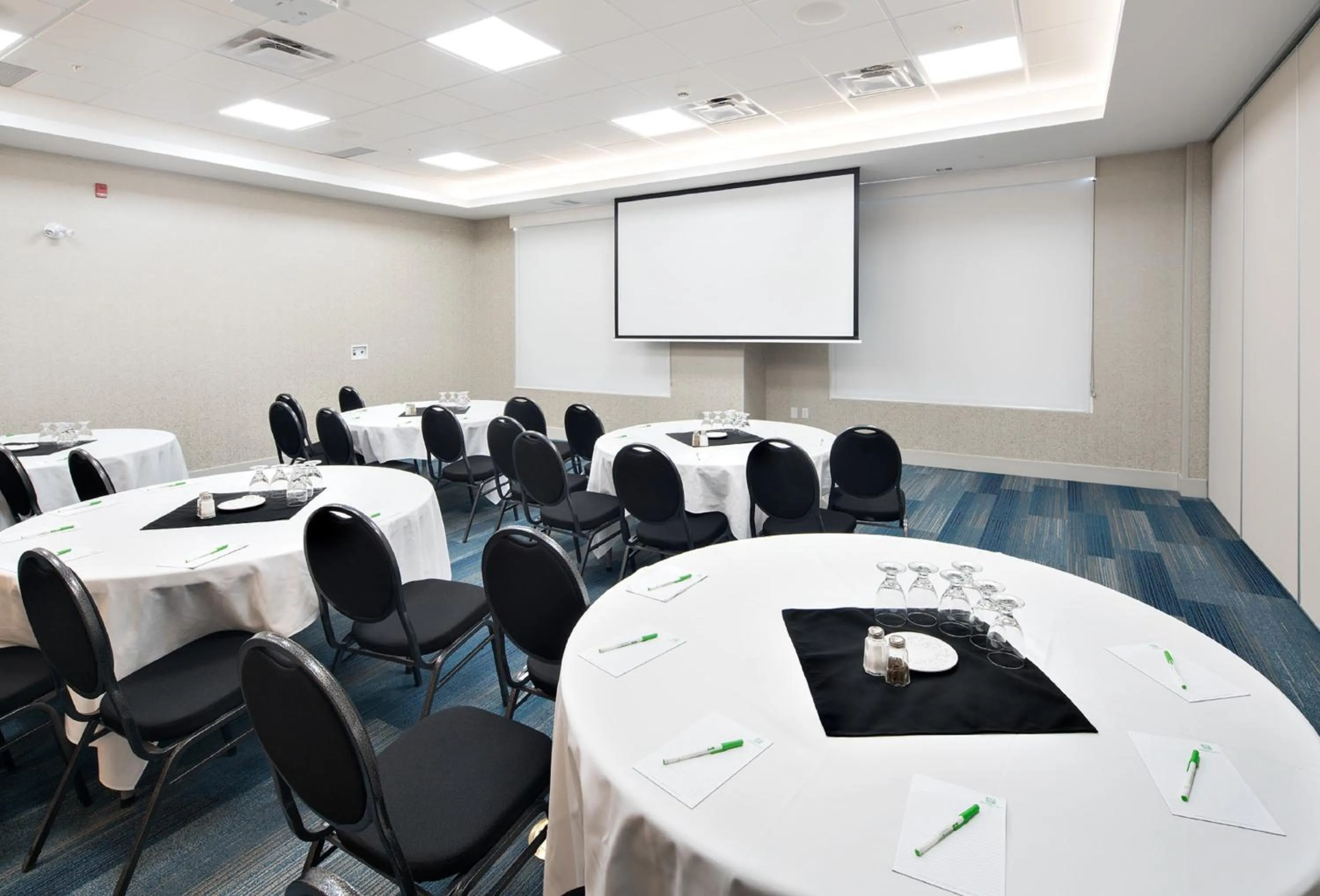 Meeting/conference room in Holiday Inn Express - Red Deer North by IHG