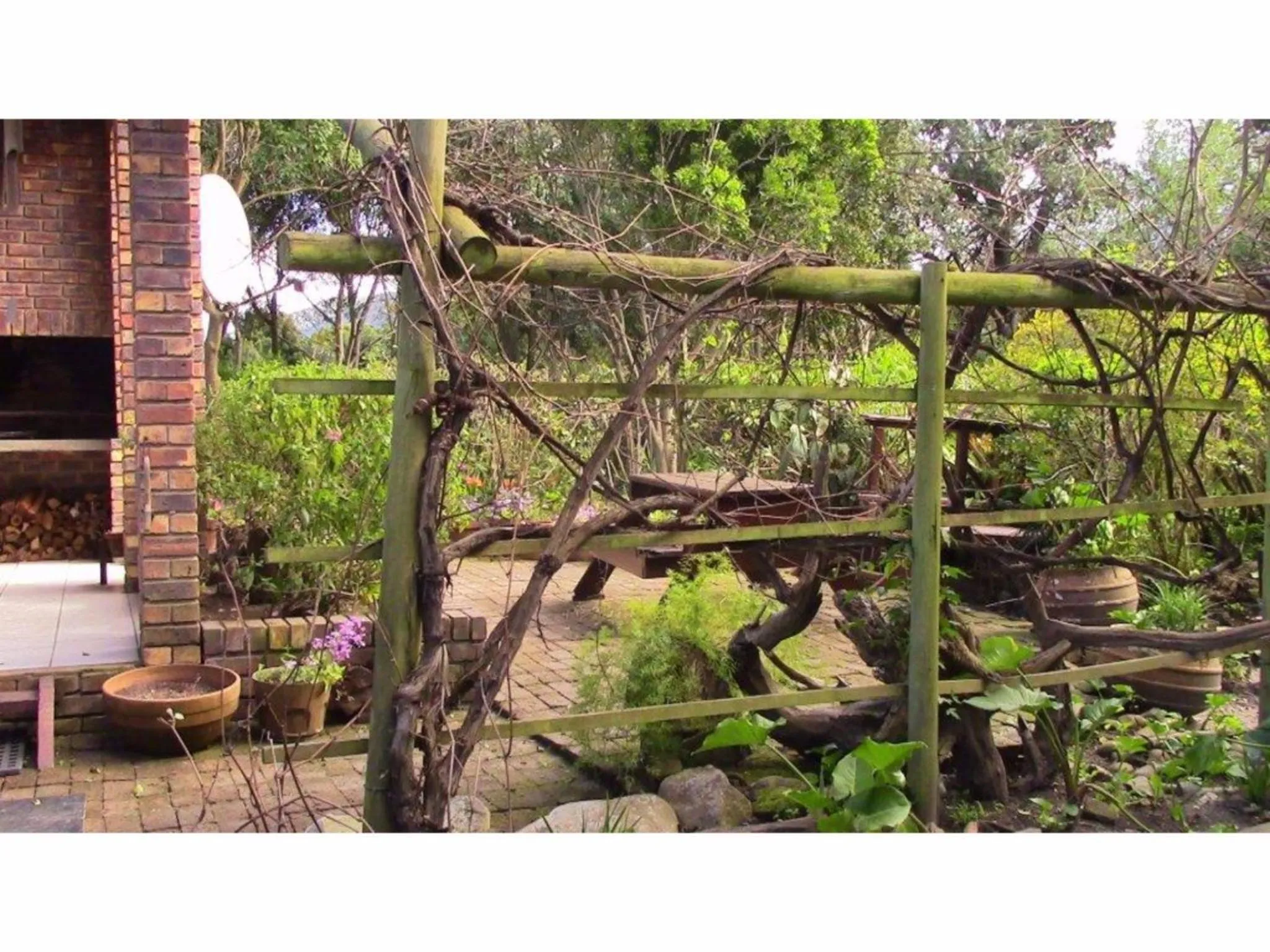 Garden in Forest Nest Cottage, Tsitsikamma