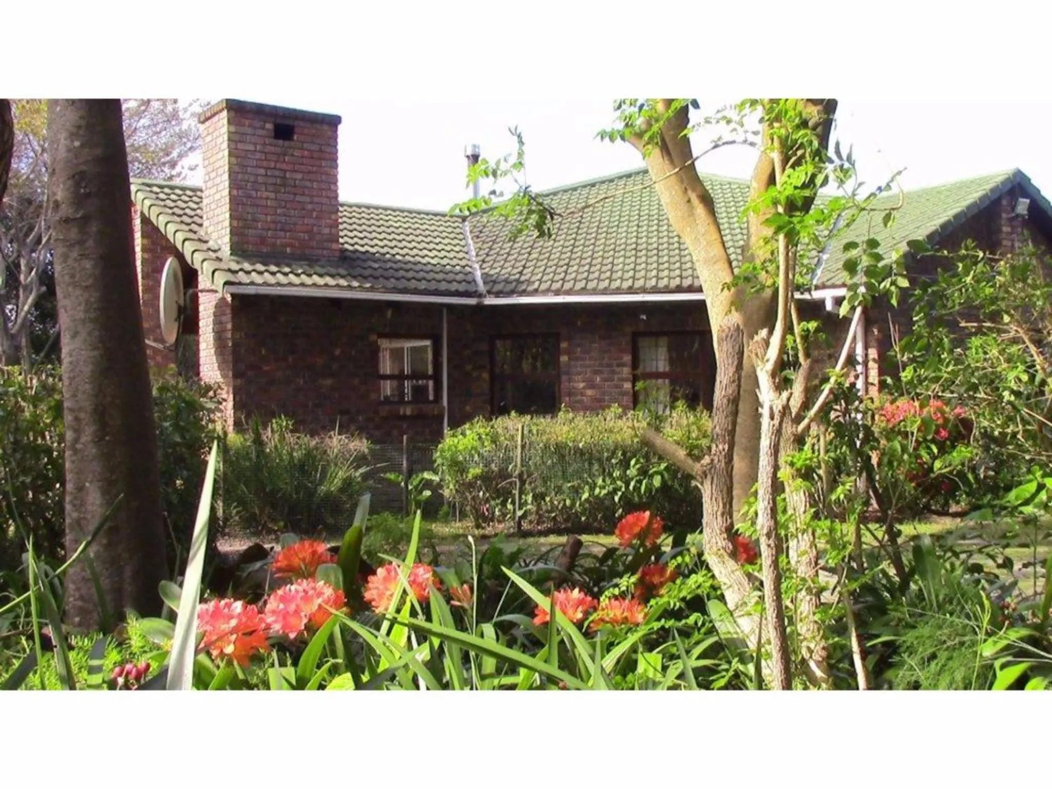 Bird's eye view in Forest Nest Cottage, Tsitsikamma