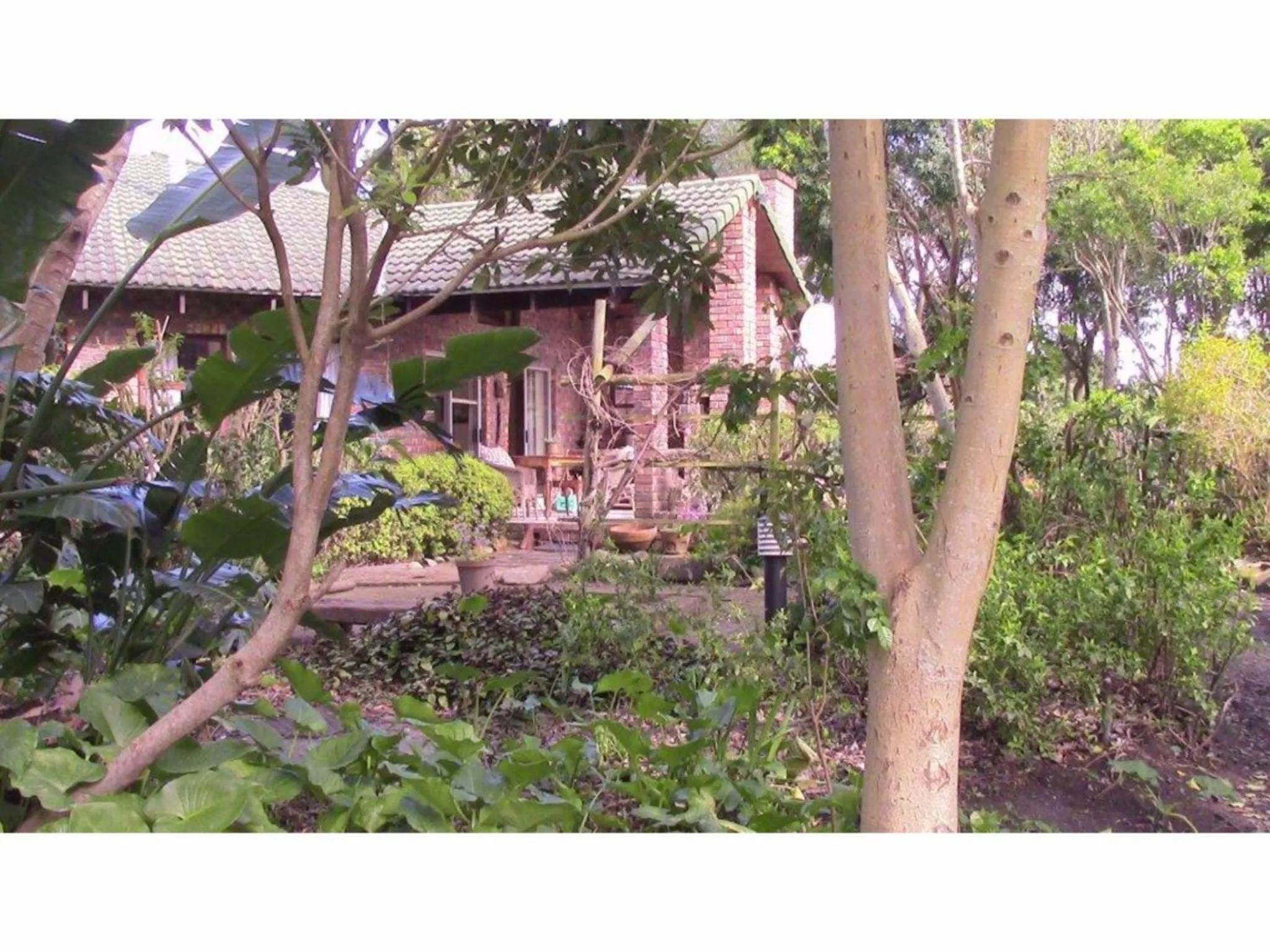 Garden view in Forest Nest Cottage, Tsitsikamma