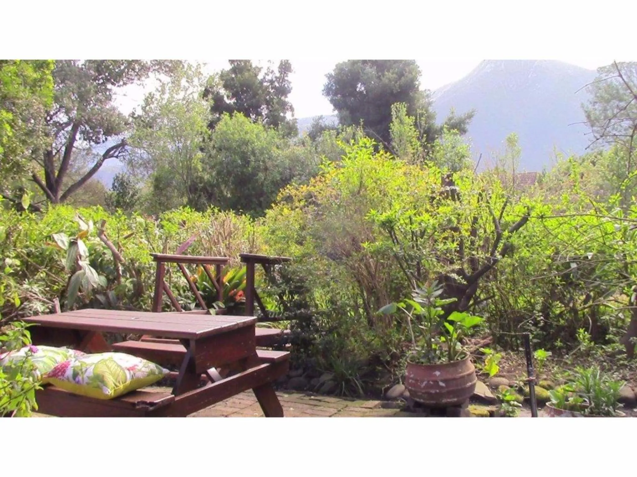 Garden in Forest Nest Cottage, Tsitsikamma