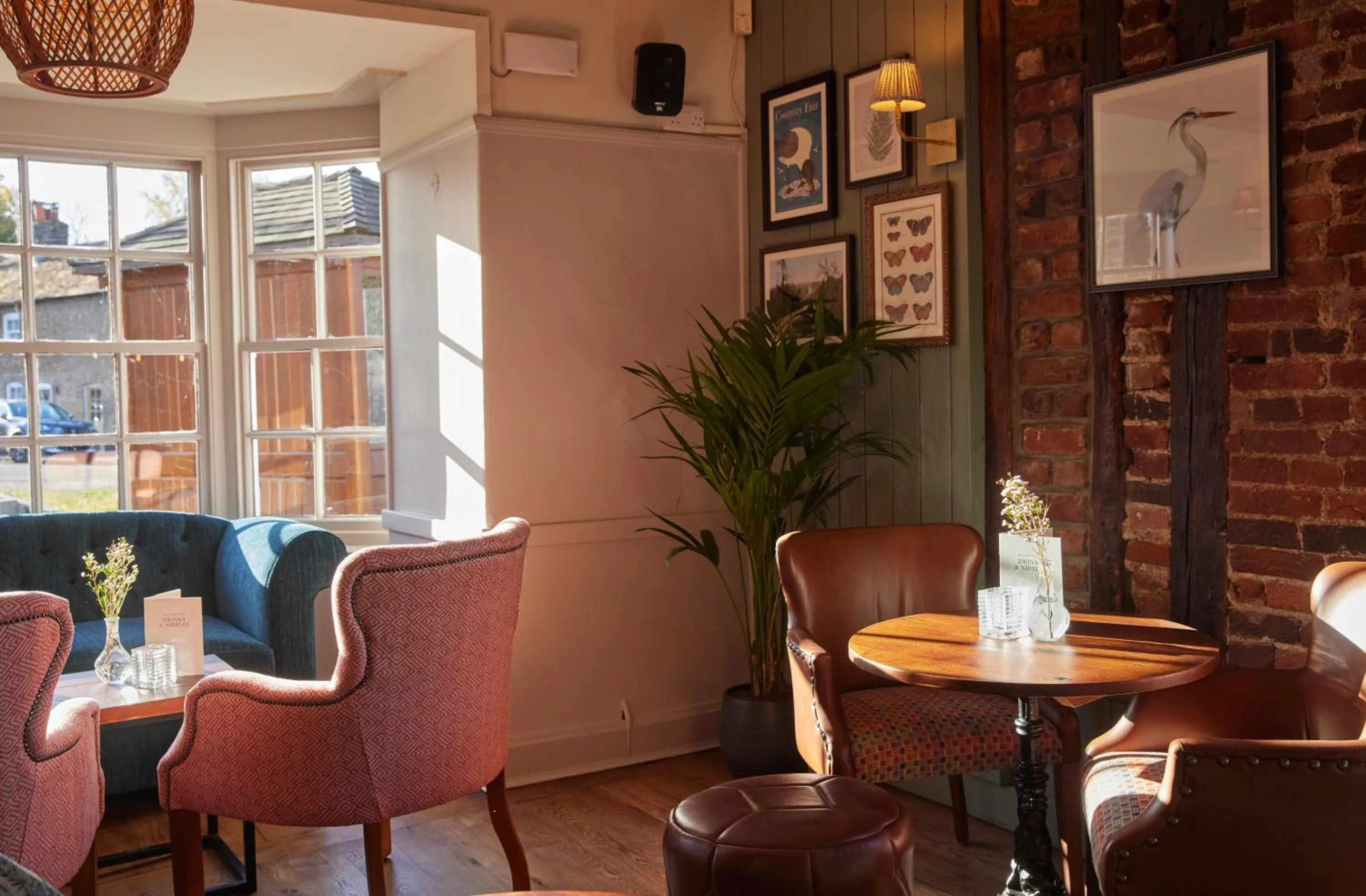 Feathers by Chef & Brewer Collection