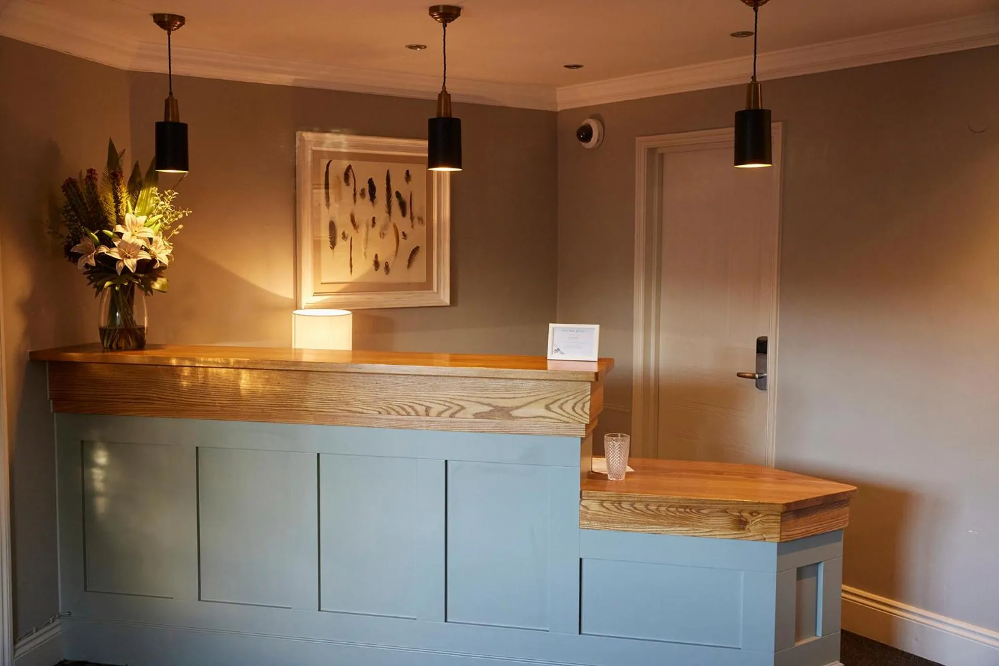 Feathers by Chef & Brewer Collection