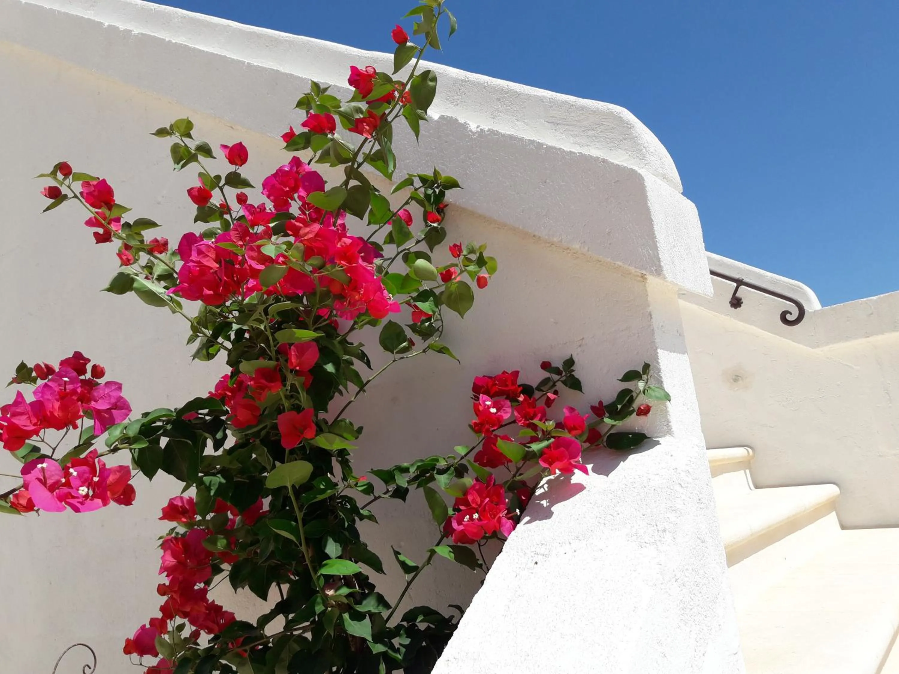 View (from property/room) in Masseria Almadava