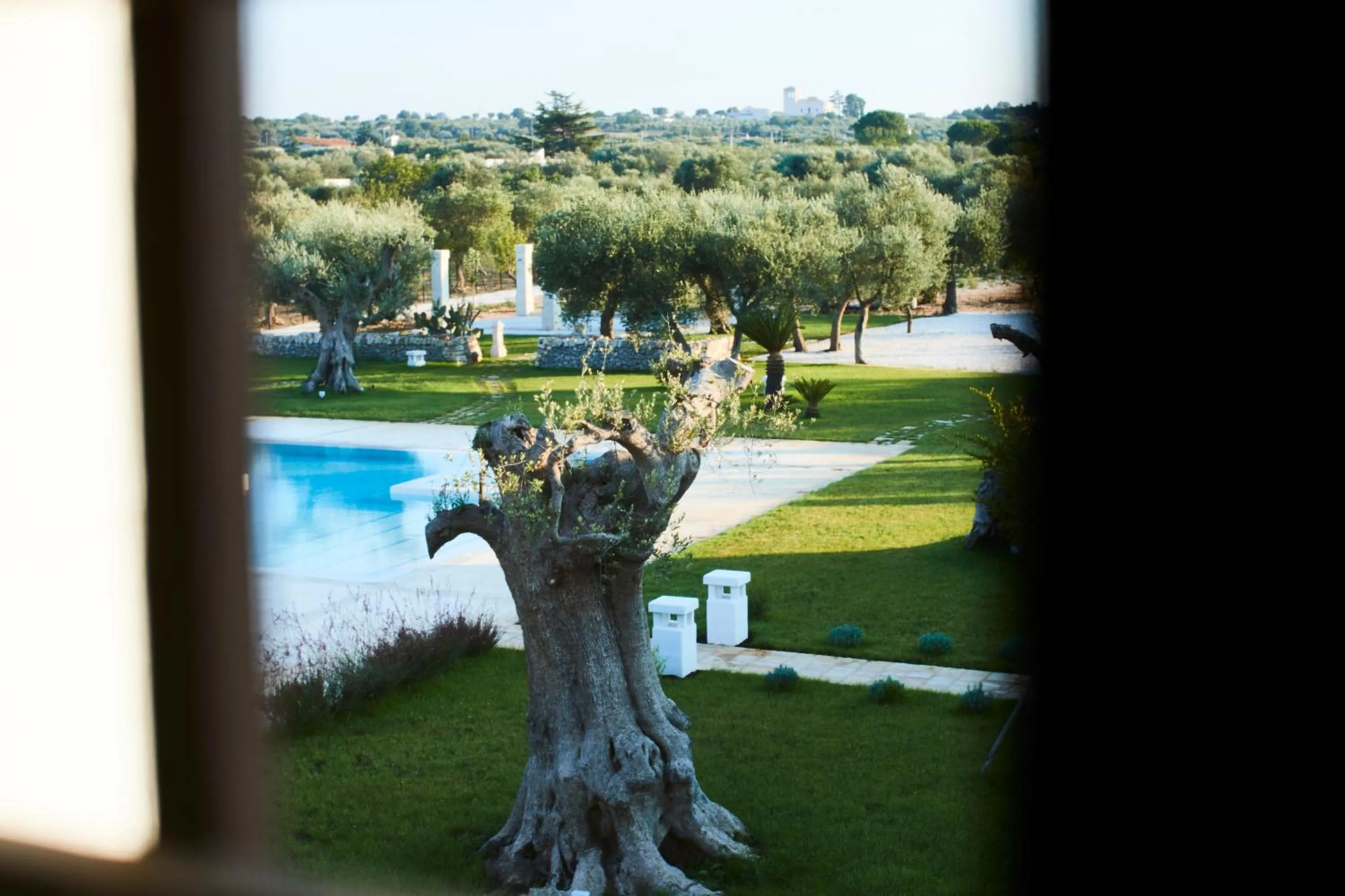 Pool view in Masseria Almadava