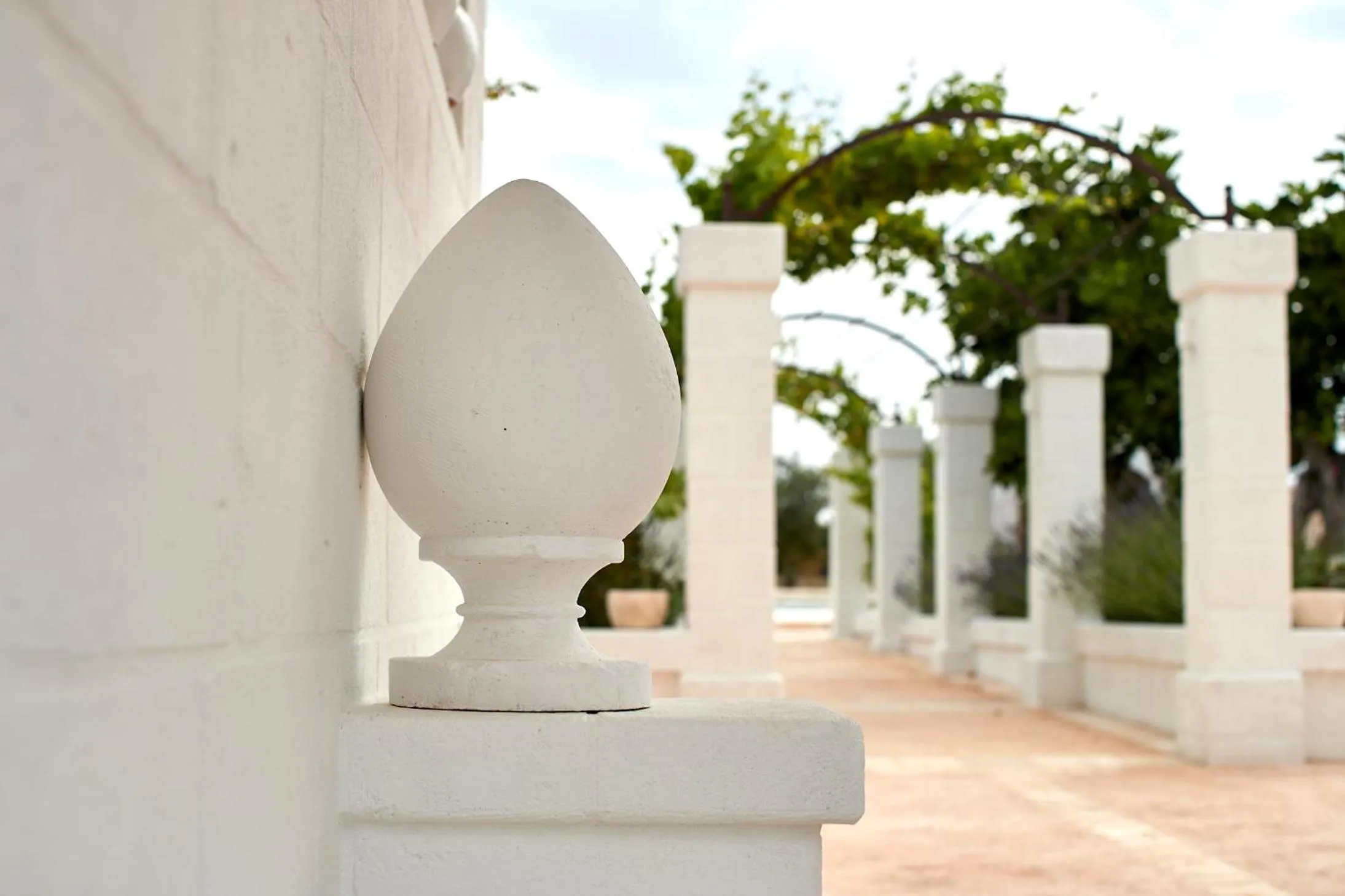 Pool view in Masseria Almadava