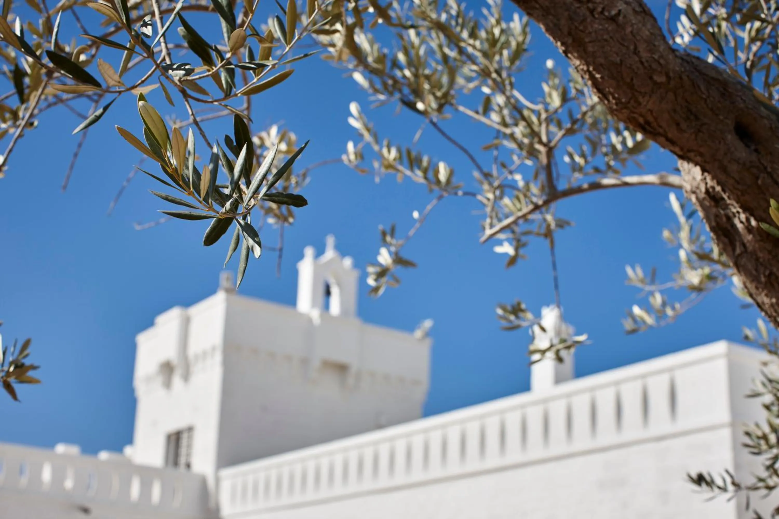 Property building in Masseria Almadava