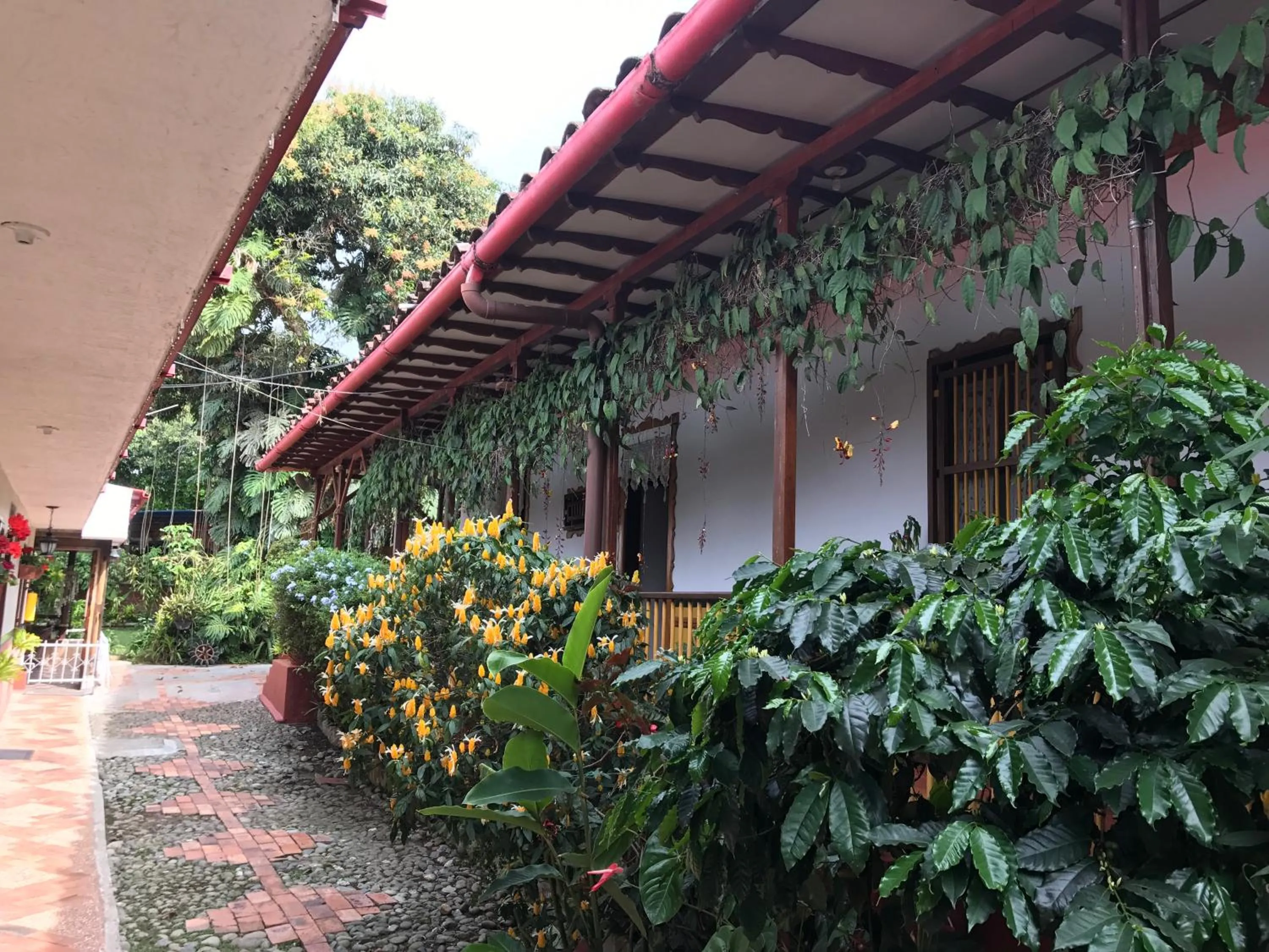 Finca Machangara