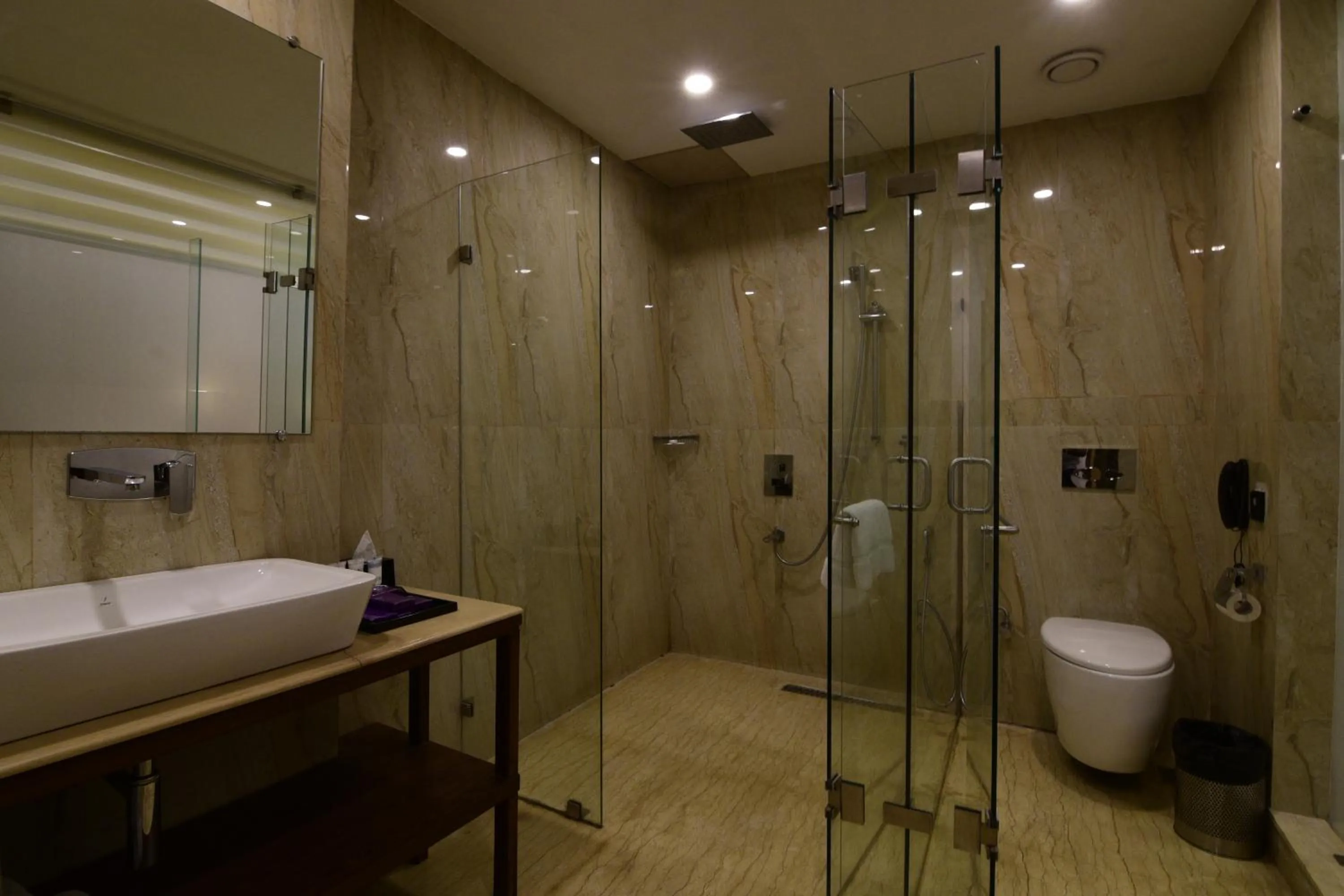 Bathroom in Park Regis Goa