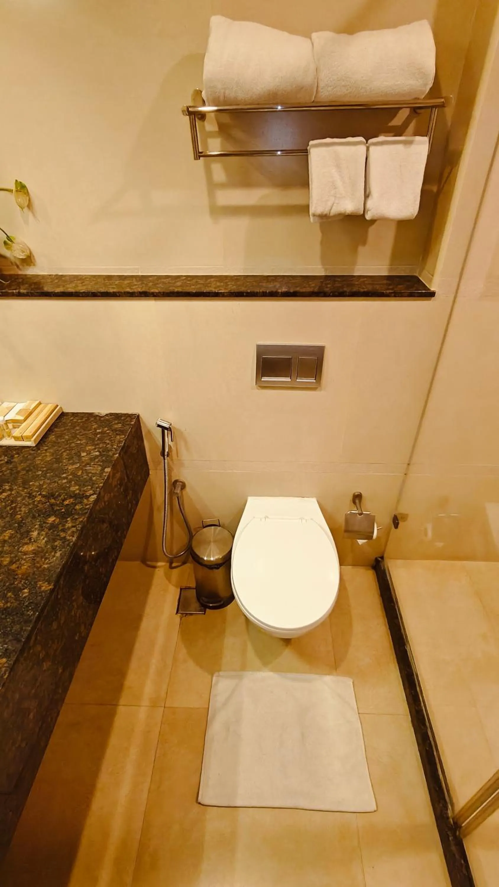 Toilet in Khanna Fiesta - A Bergamont Hotel, Vellore