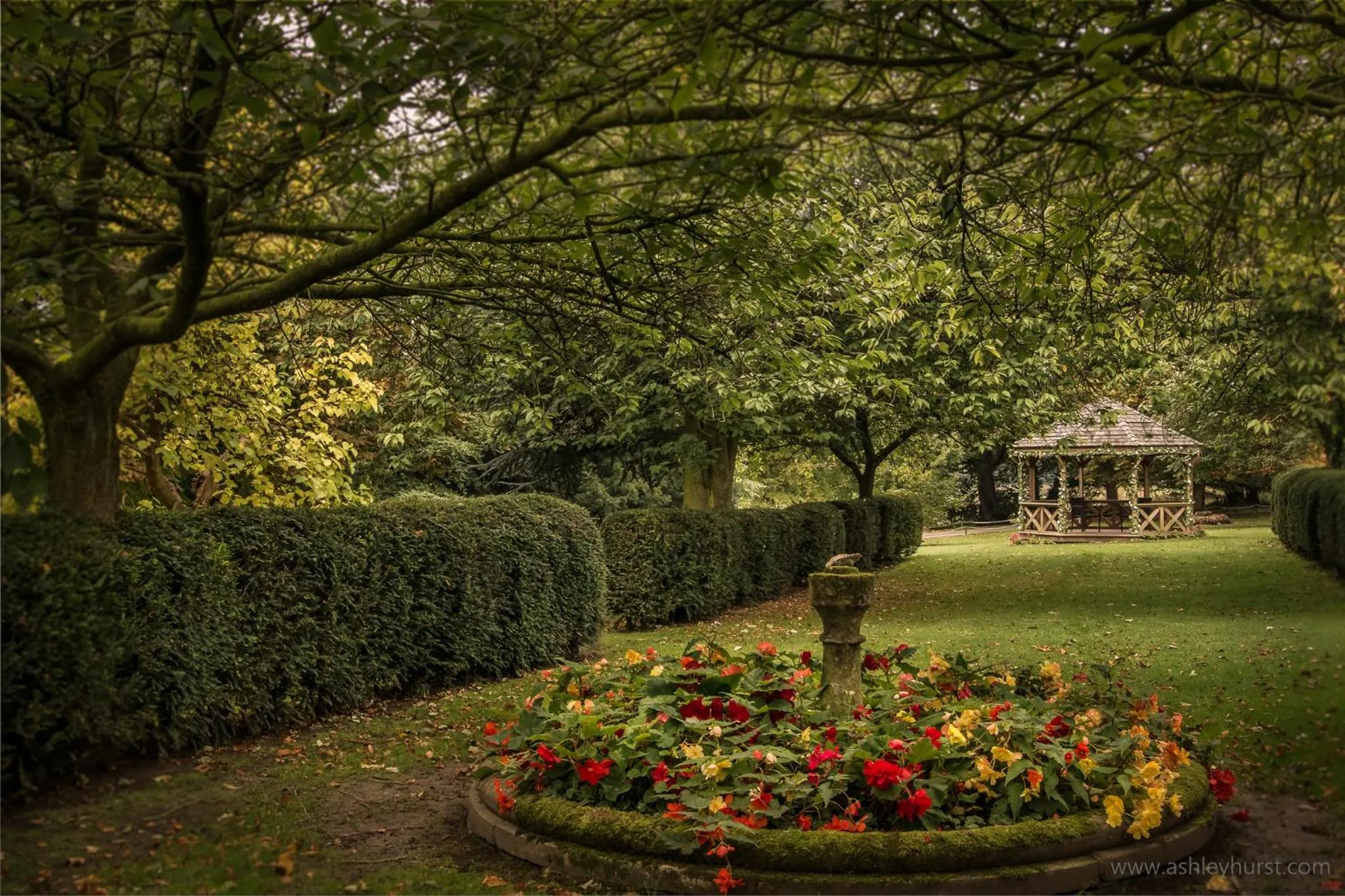 Garden in Hazlewood Castle & Spa